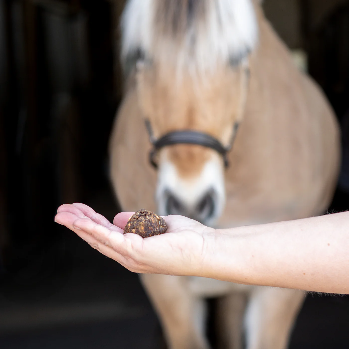 Nickers Original Muffins Horse Treats - Image 36