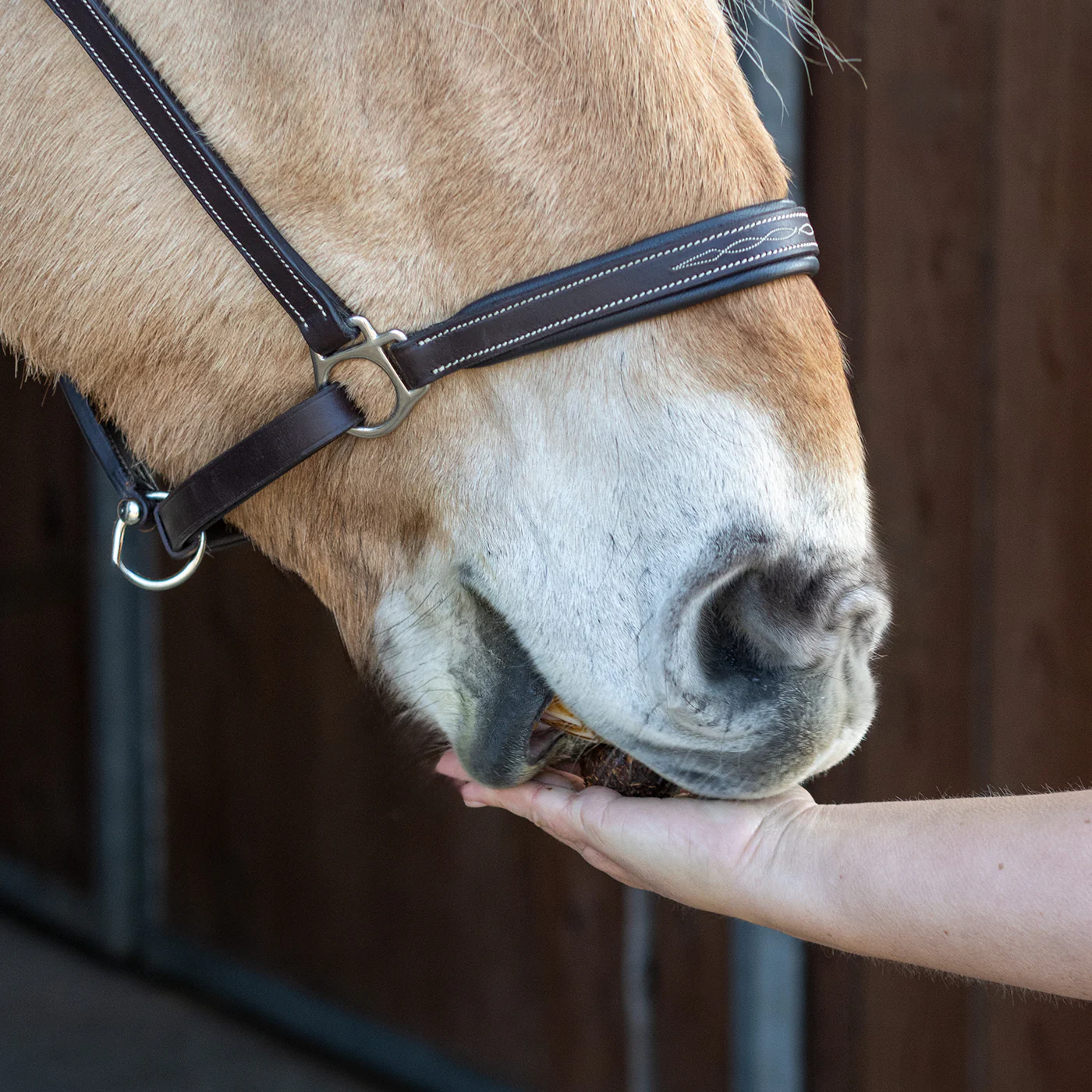 Nickers Original Muffins Horse Treats - Image 37