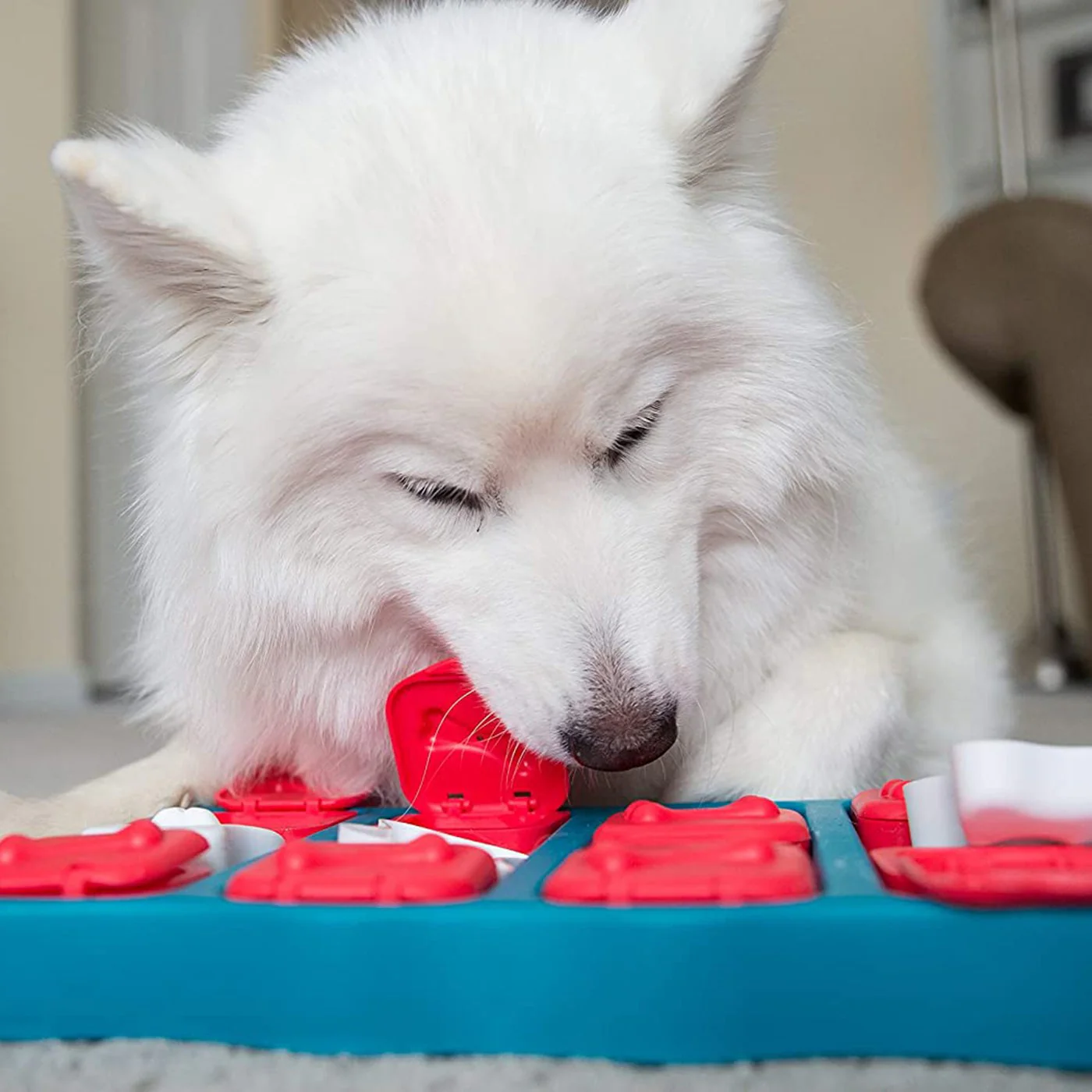 Nina Ottosson Dog Brick Dog Puzzle - Image 3