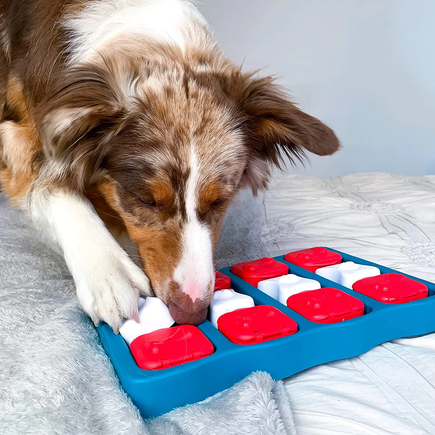 Nina Ottosson Dog Brick Dog Puzzle - Image 4