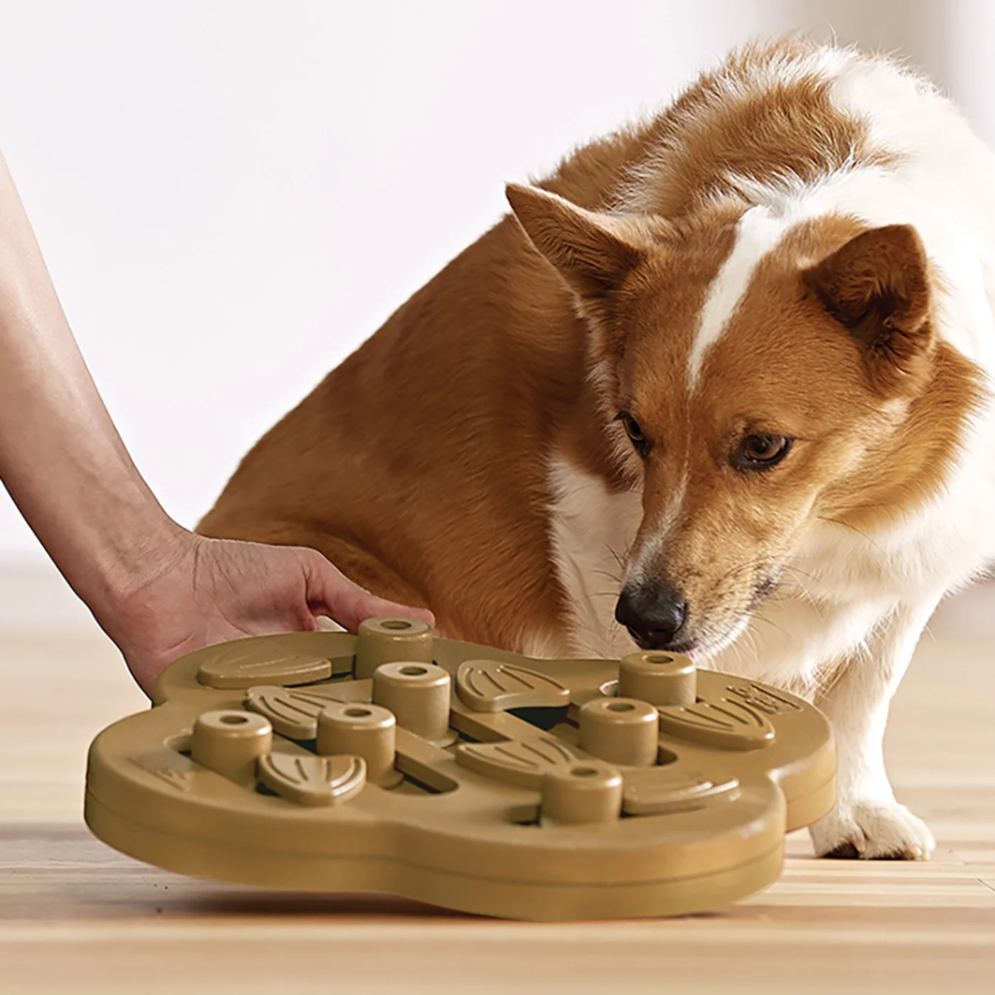 Nina Ottosson Dog Hide N' Slide Dog Puzzle - Image 3