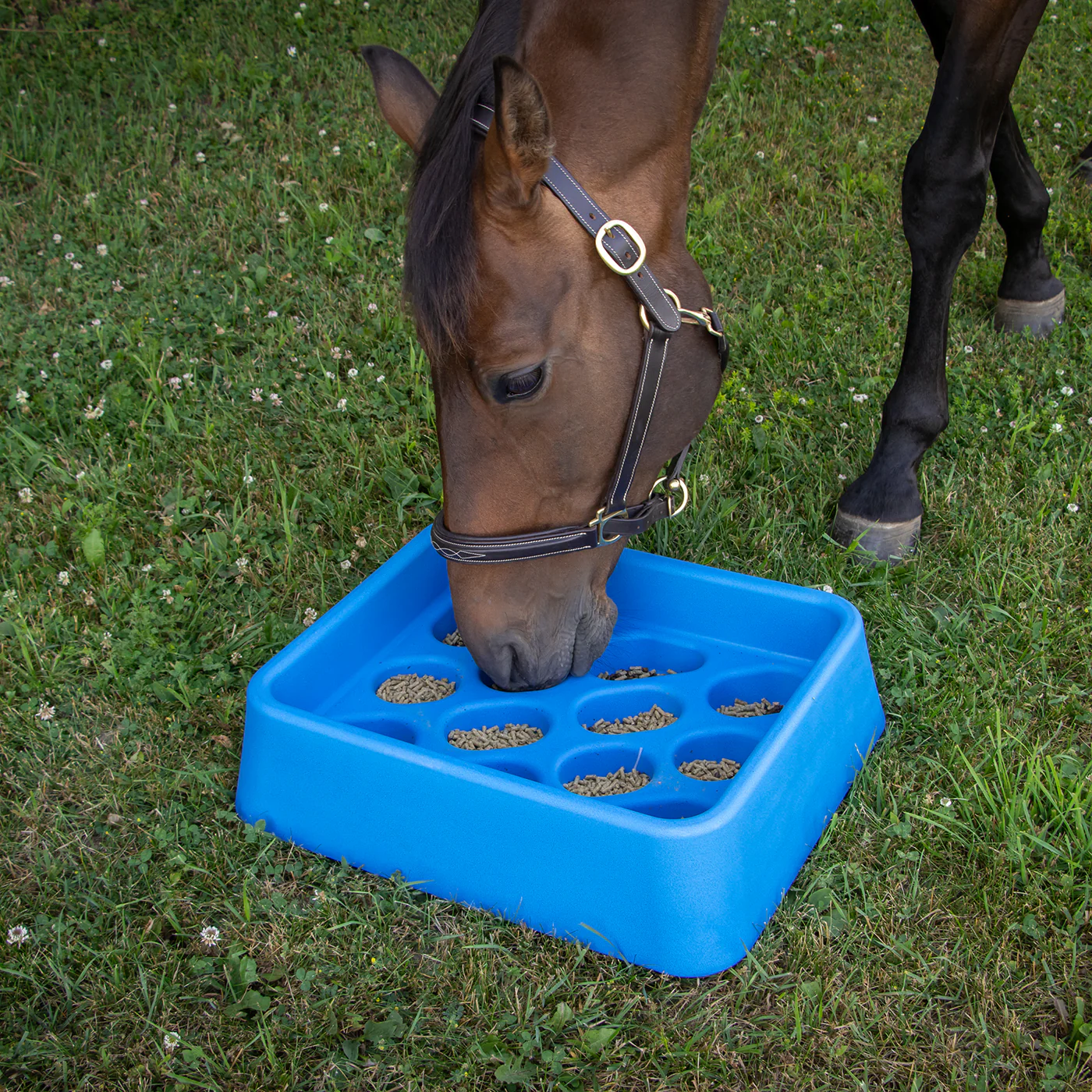 Parallax Gradual Feeder - Image 3