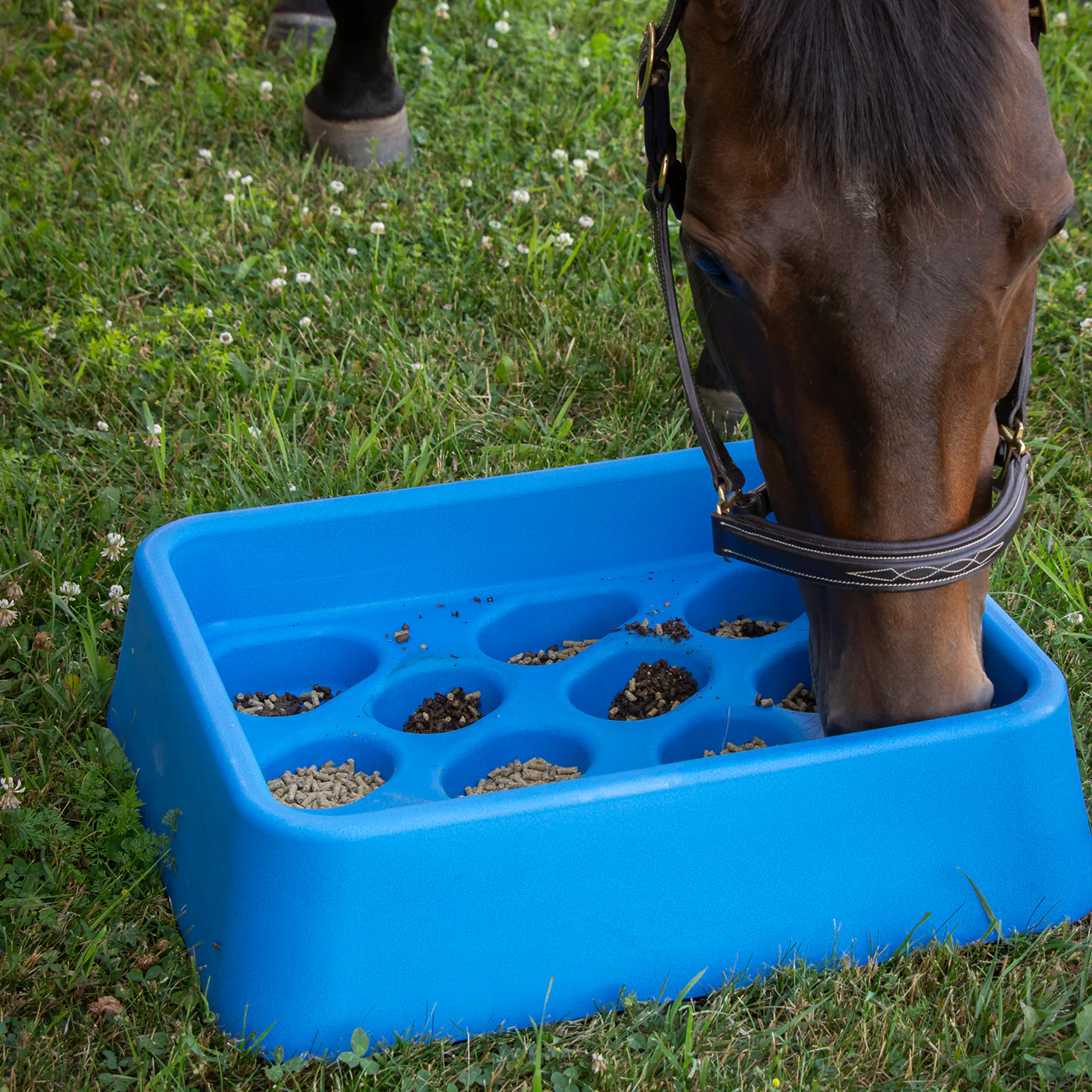 Parallax Gradual Feeder - Image 5