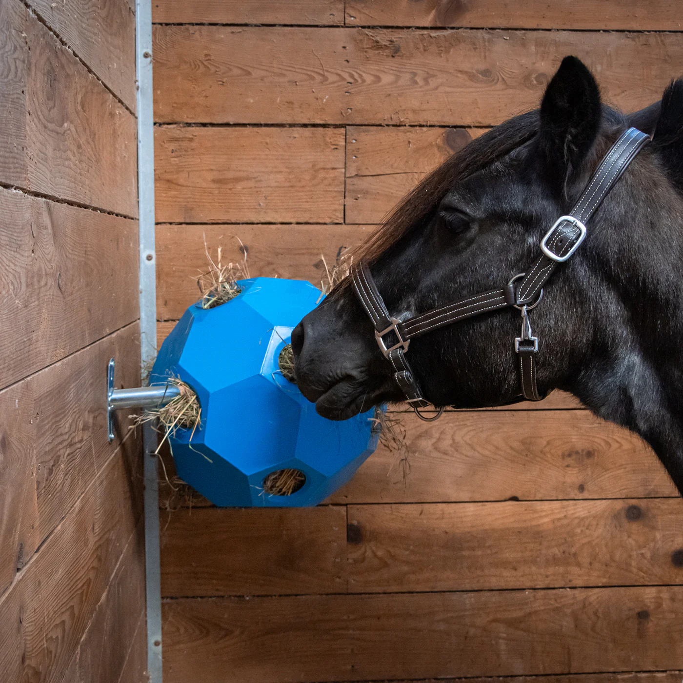 Parallax Hay Play Spinner - Image 4