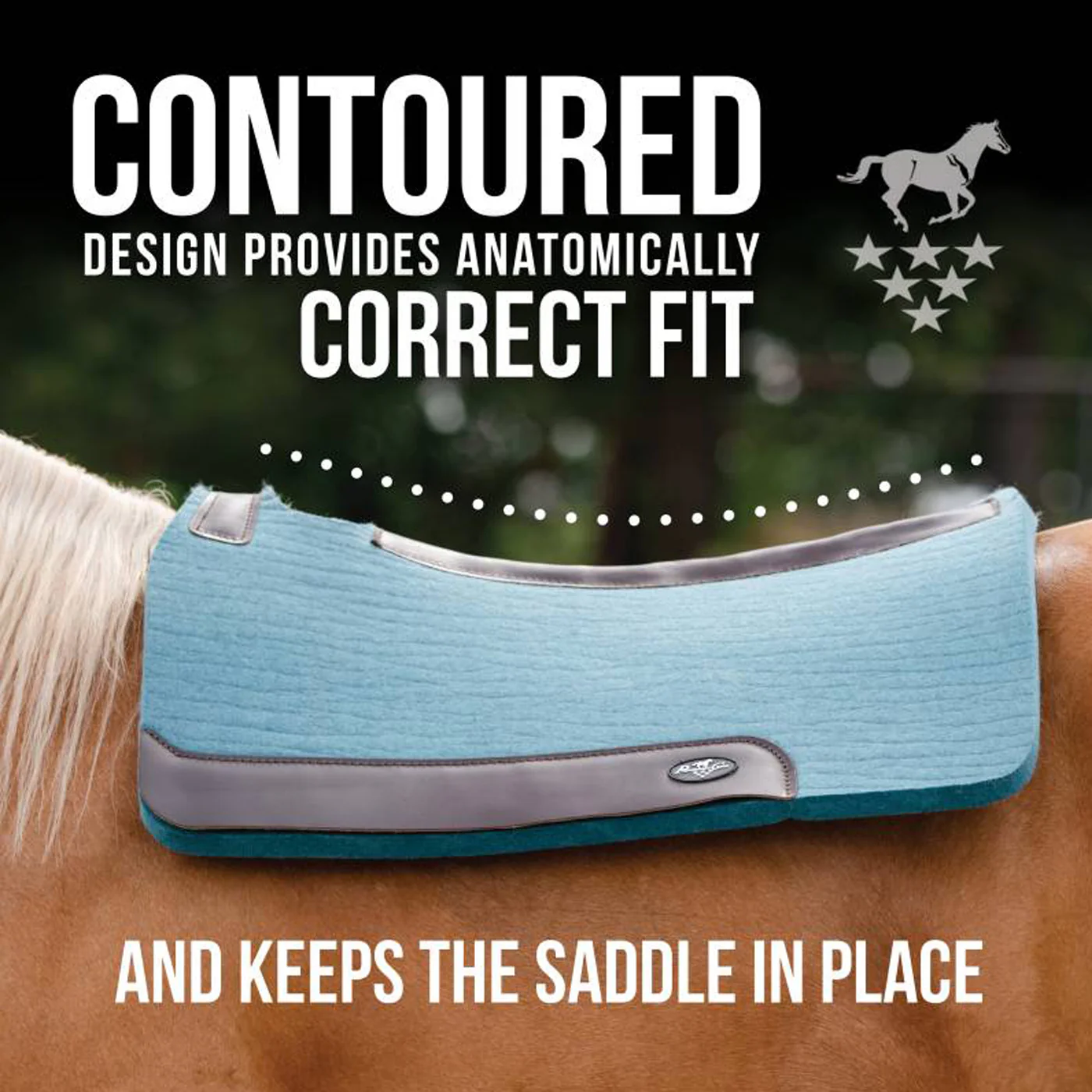 Professional's Choice Steam Pressed Comfort Fit Felt Western Saddle Pad - Image 4