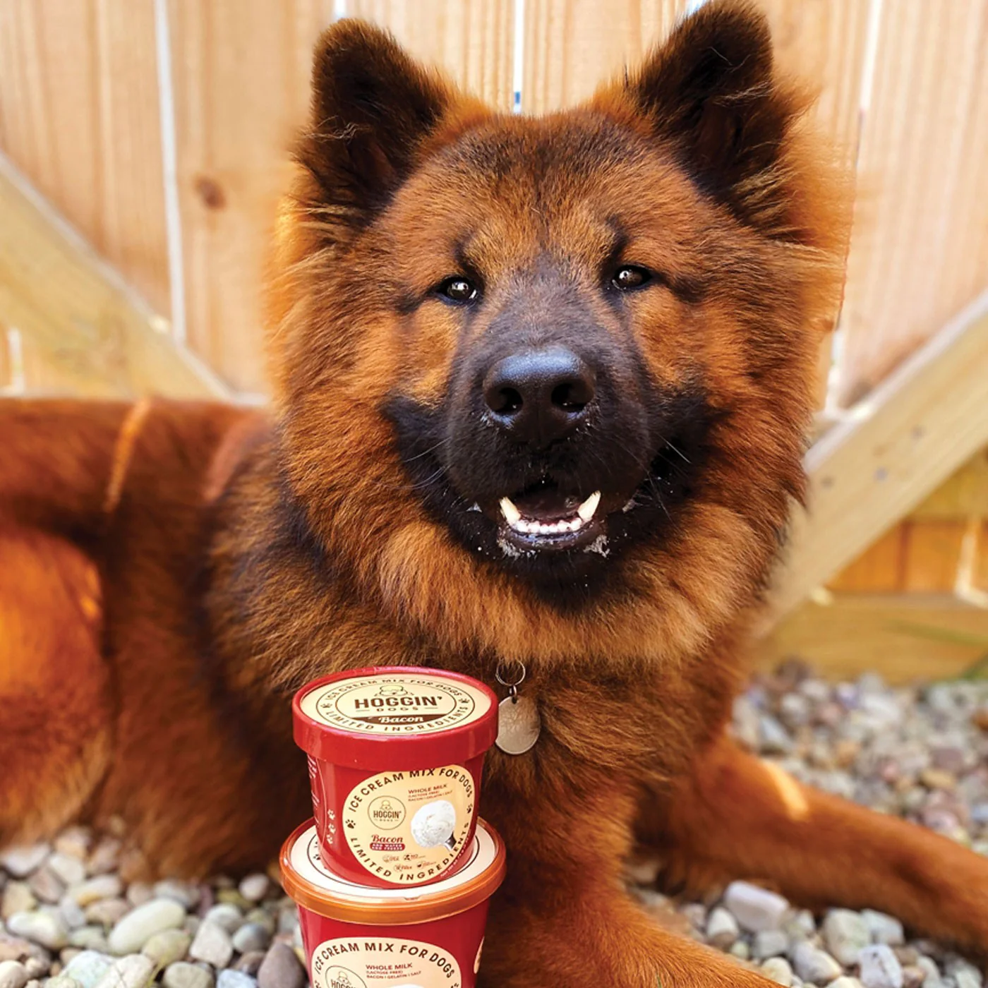 Puppy Cake Hoggin' Dogs Bacon Ice Cream Mix 132 g - Image 4