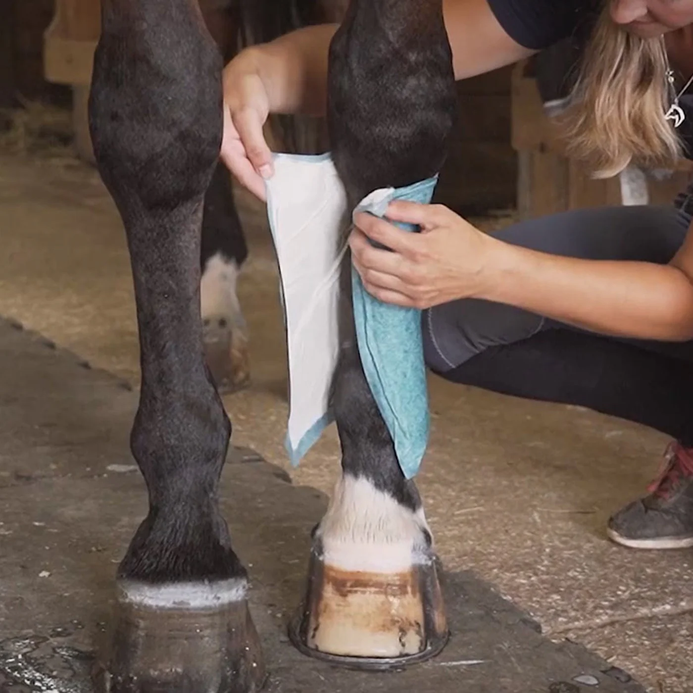 Quinn's Equine Poultice Wraps