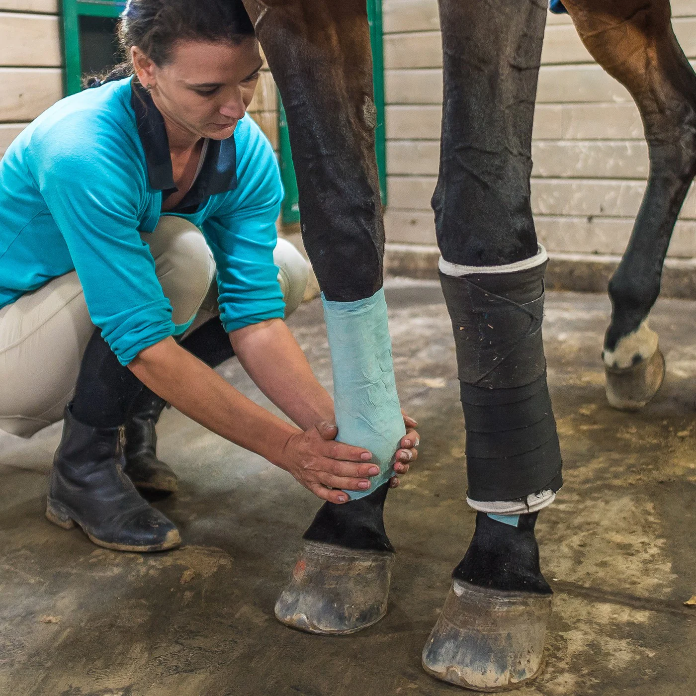 Quinn's Equine Poultice Wraps - Image 6