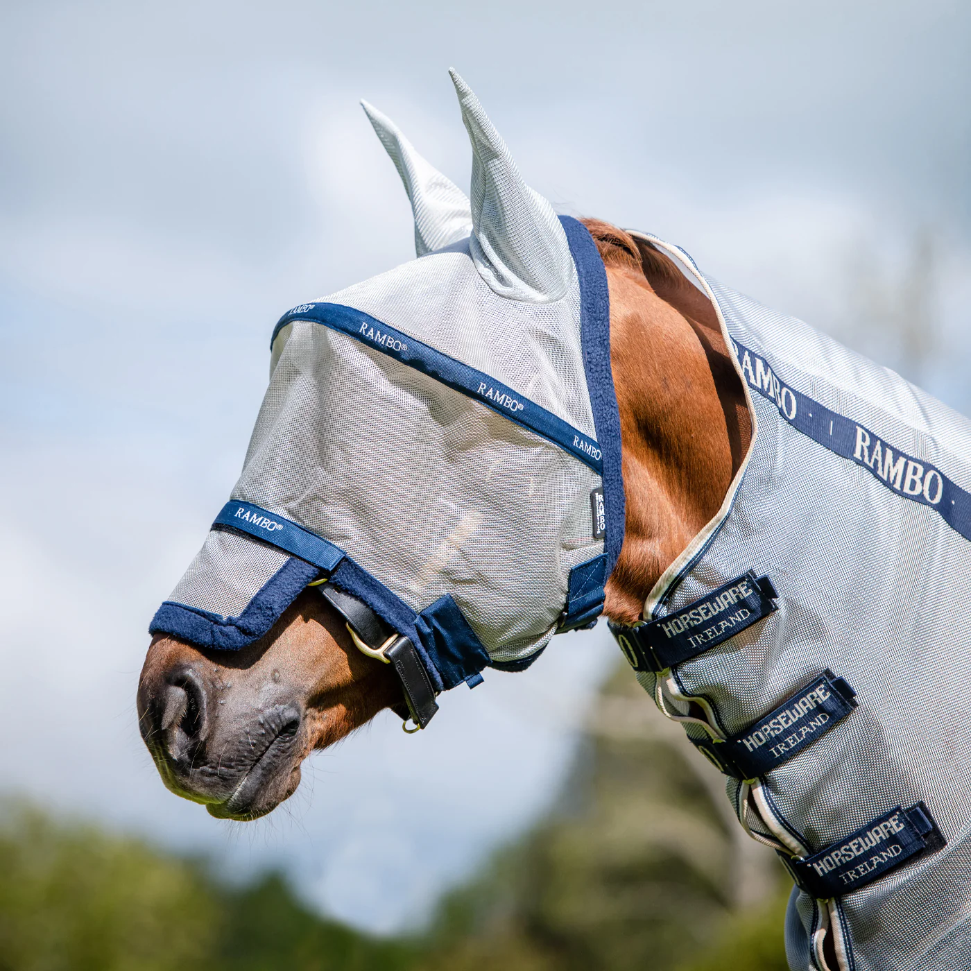 Rambo Plus Fly Mask