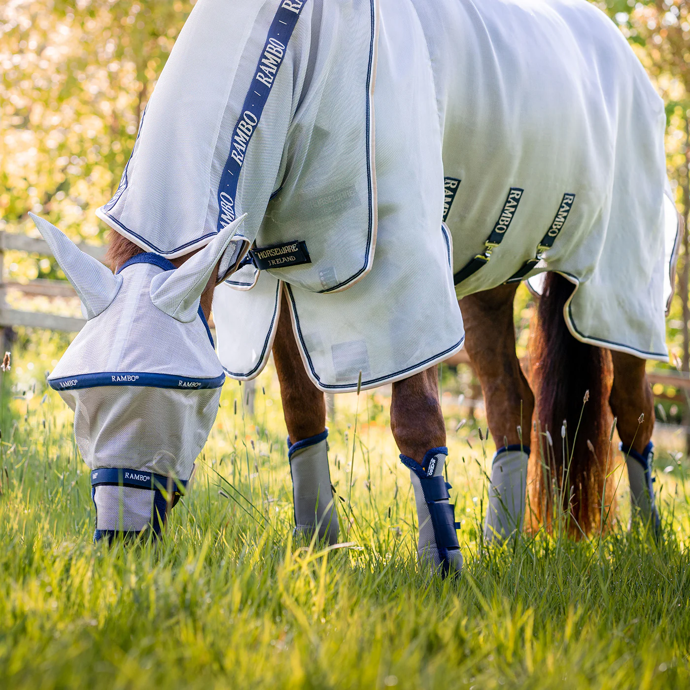 Rambo Plus Fly Mask - Image 3