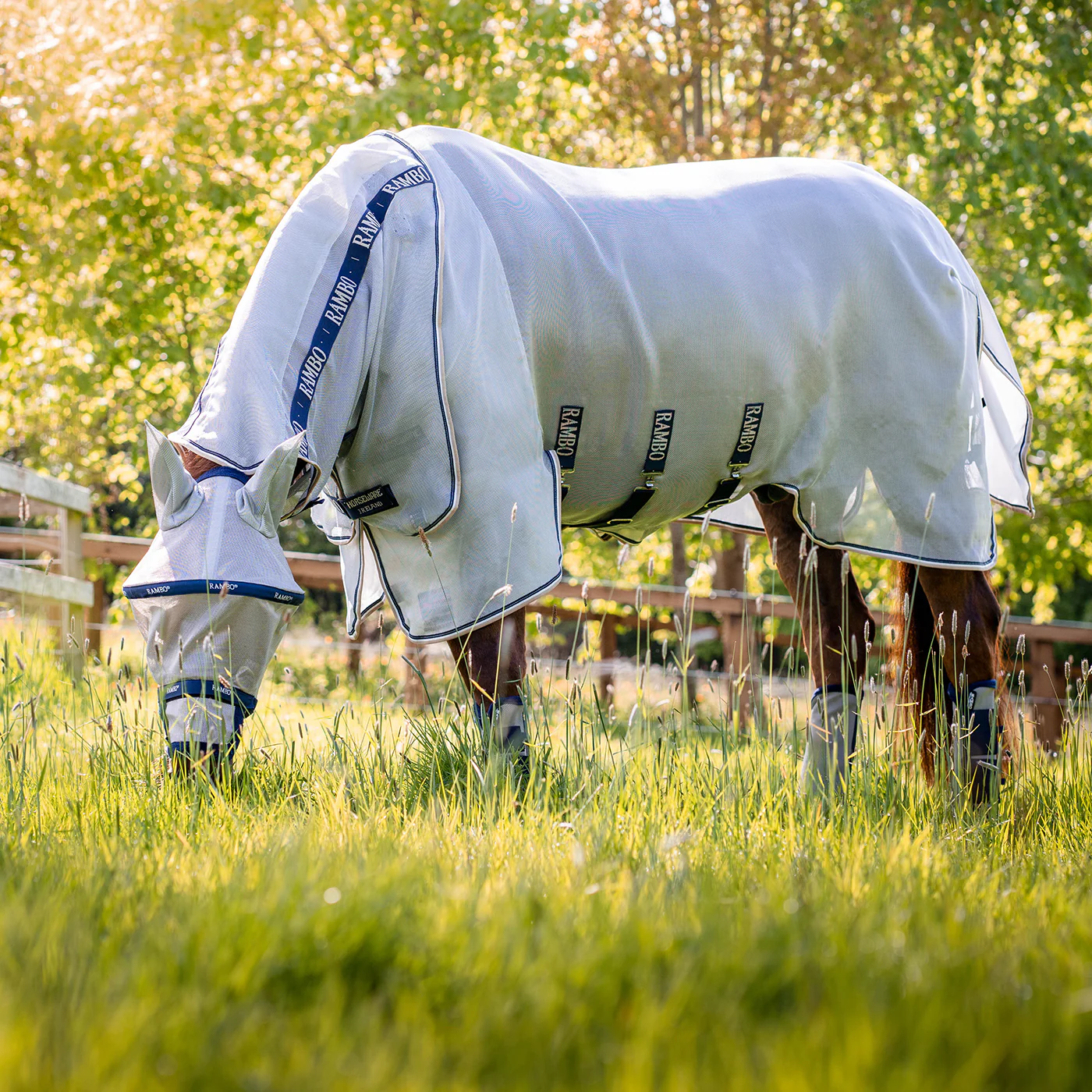 Rambo Plus Fly Mask - Image 4