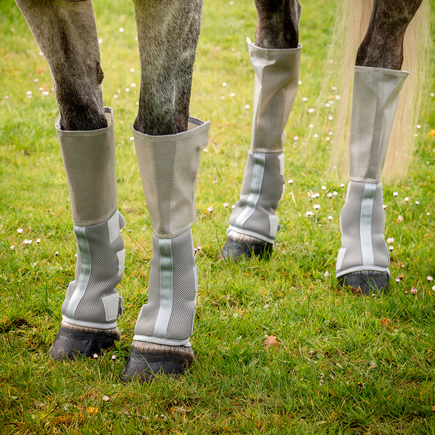 Rambo Tech-Fit Fly Boots - Image 5