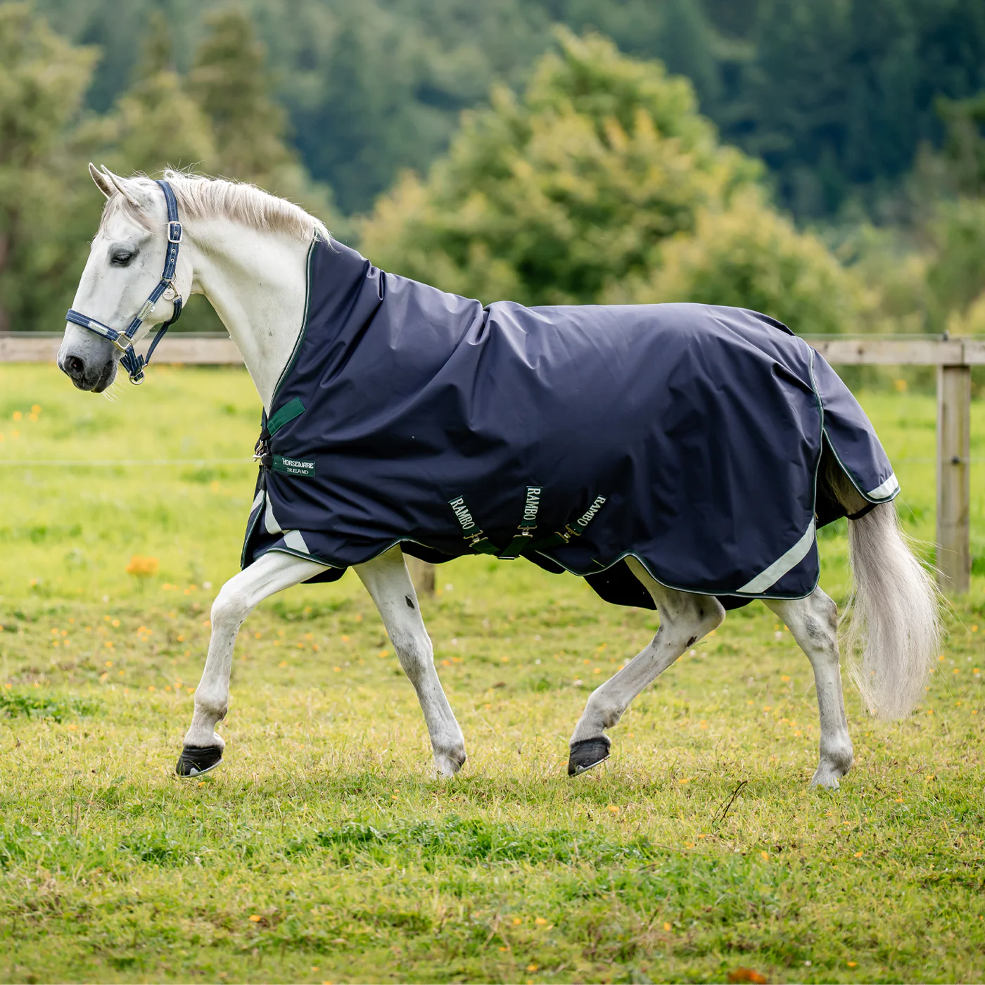 Rambo Wug 1680D Turnout Blanket 50 g