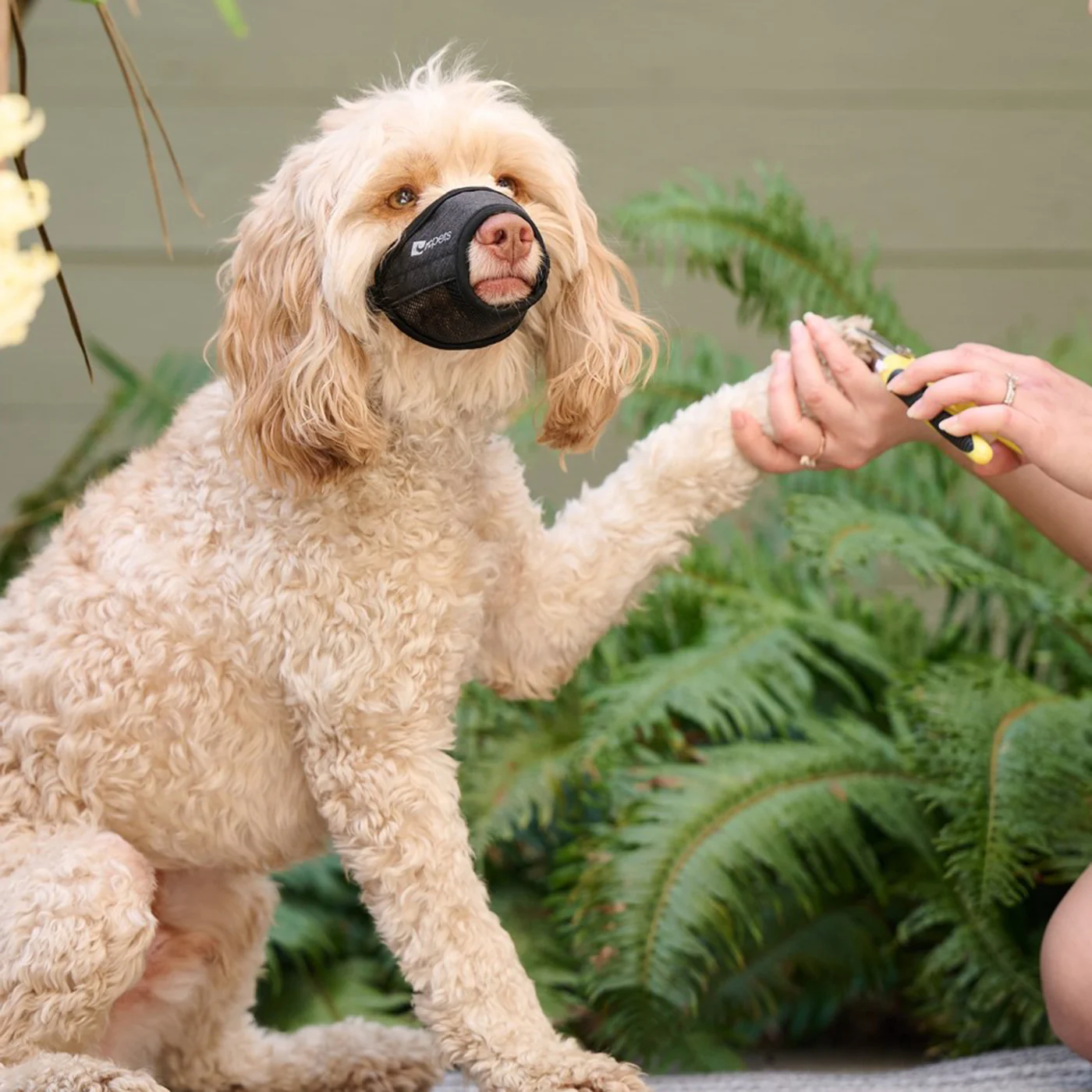 RC Pet Soft Fit Muzzle - Image 5