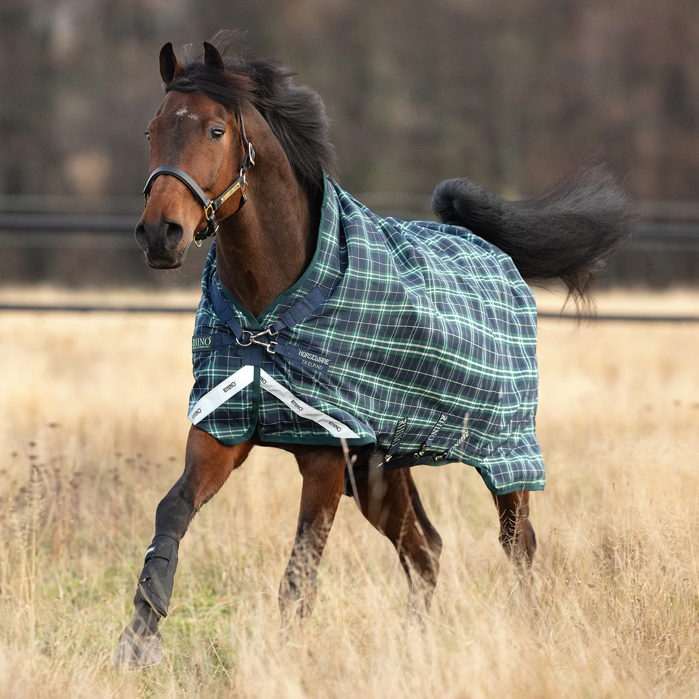 Rhino Wug Lite Turnout Blanket 100 g - Image 2