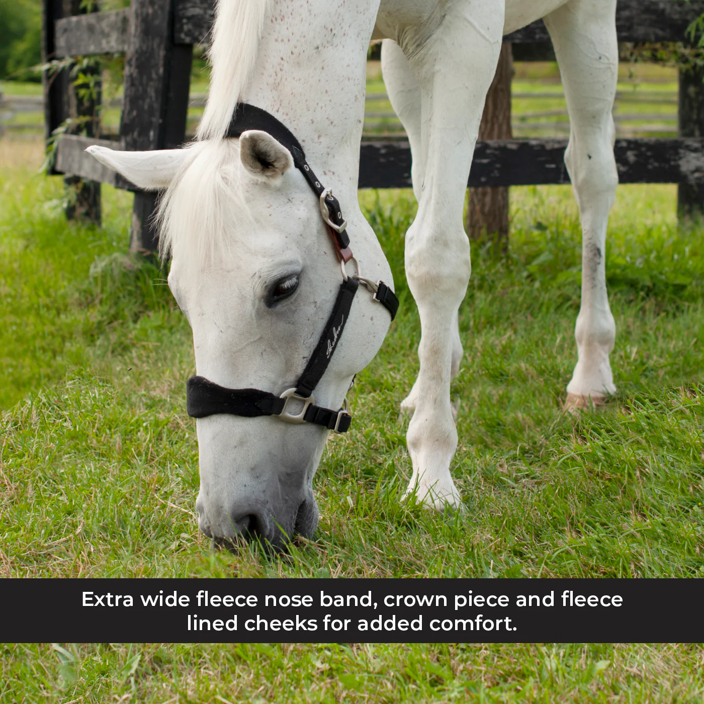 Shedrow Breakaway Halter W/ Fleece - Image 11