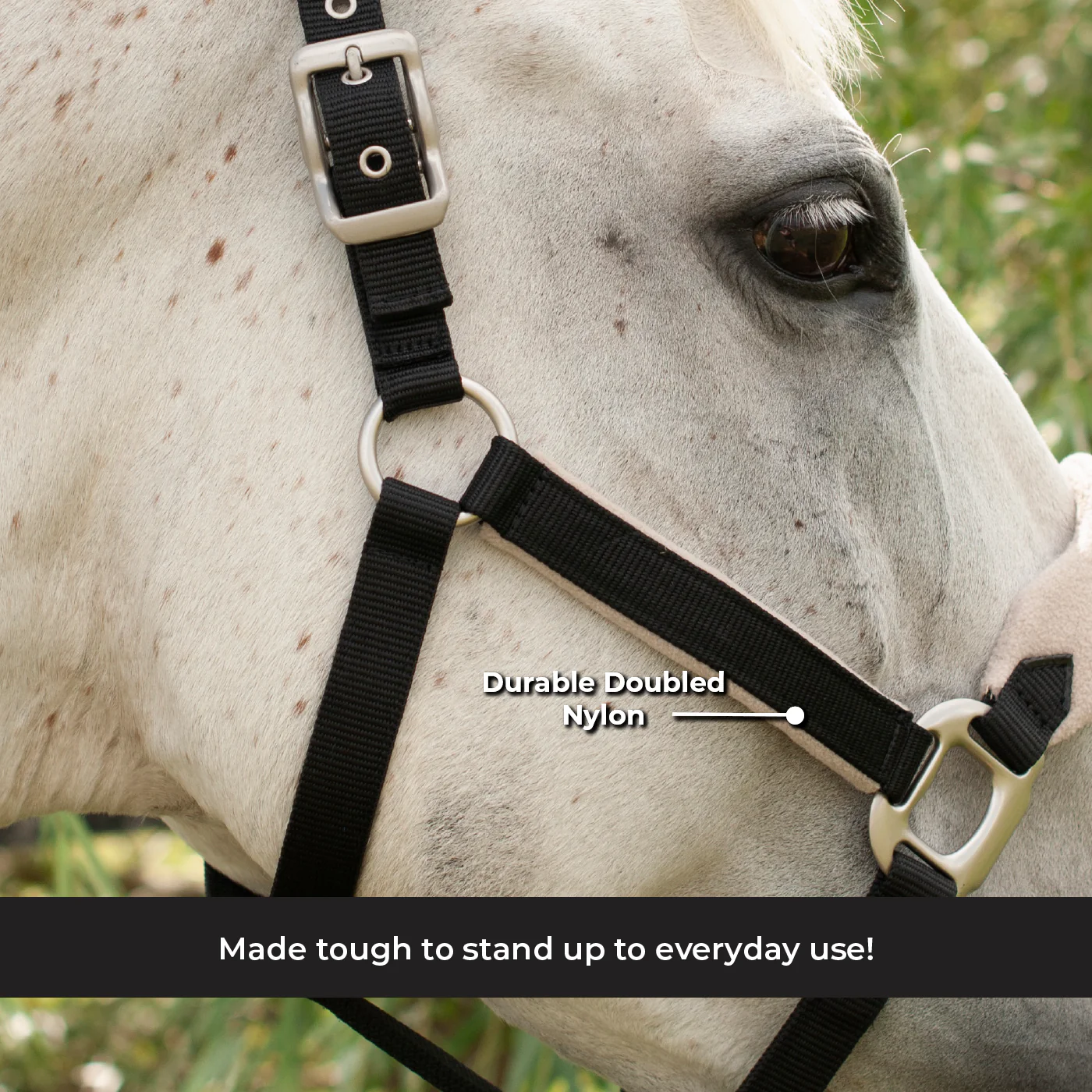 Shedrow Breakaway Halter W/ Fleece - Image 15