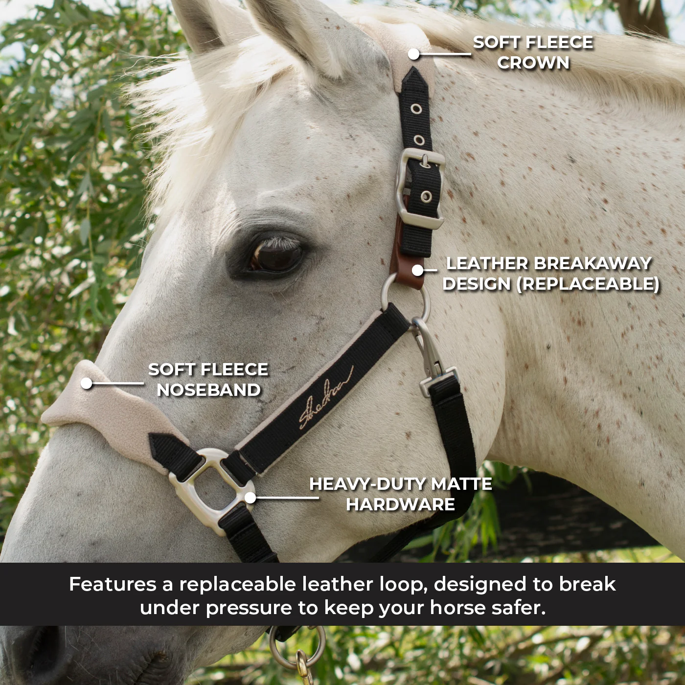 Shedrow Breakaway Halter W/ Fleece - Image 16