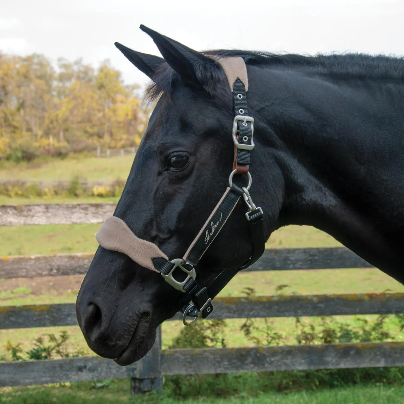 Shedrow Breakaway Halter W/ Fleece - Image 17