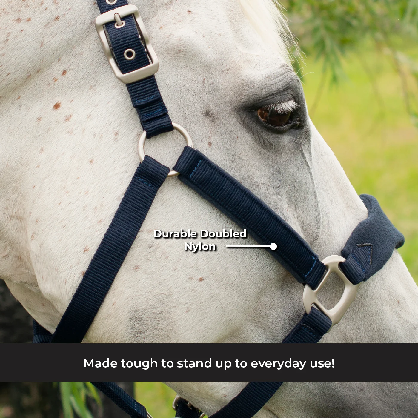 Shedrow Breakaway Halter W/ Fleece - Image 3