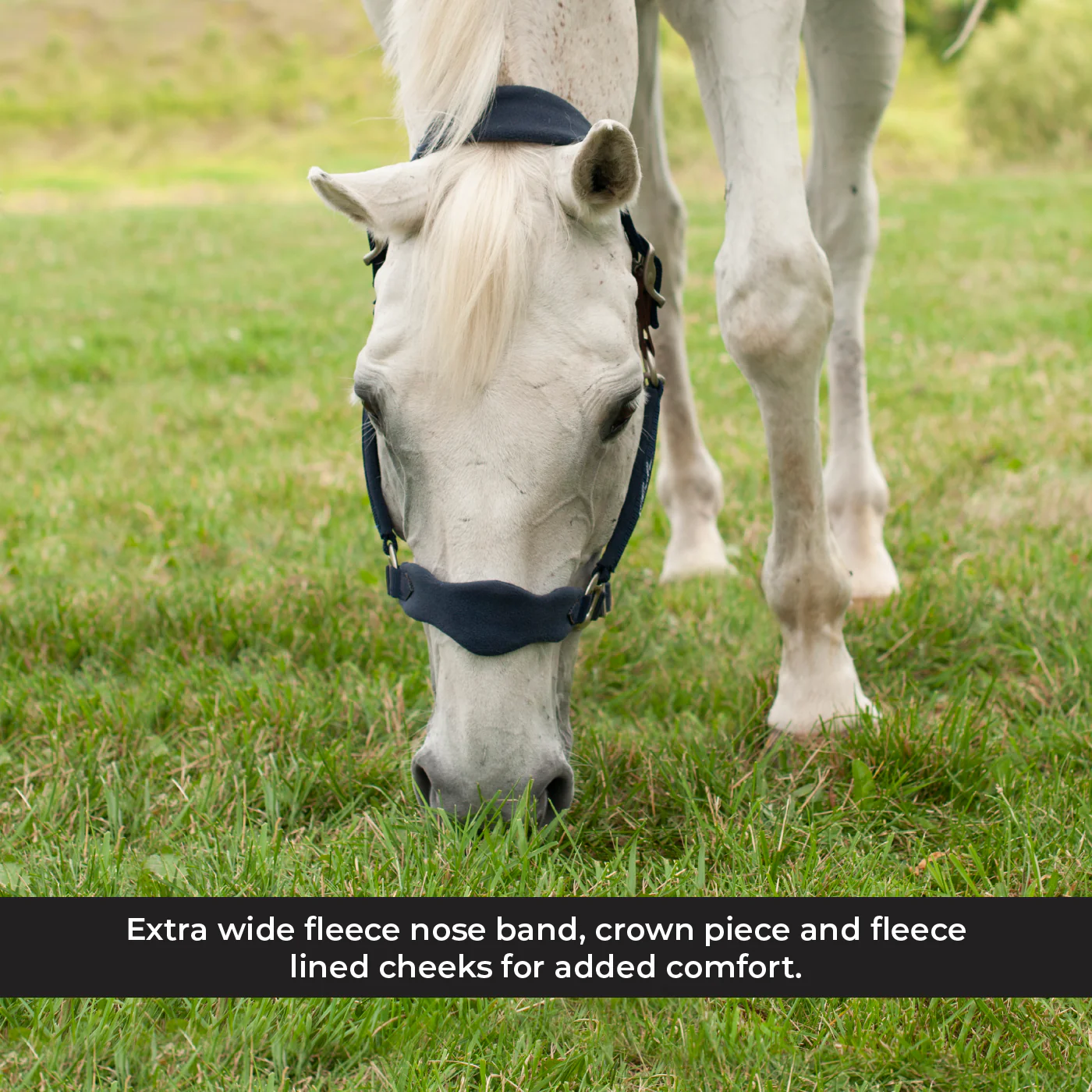 Shedrow Breakaway Halter W/ Fleece - Image 5