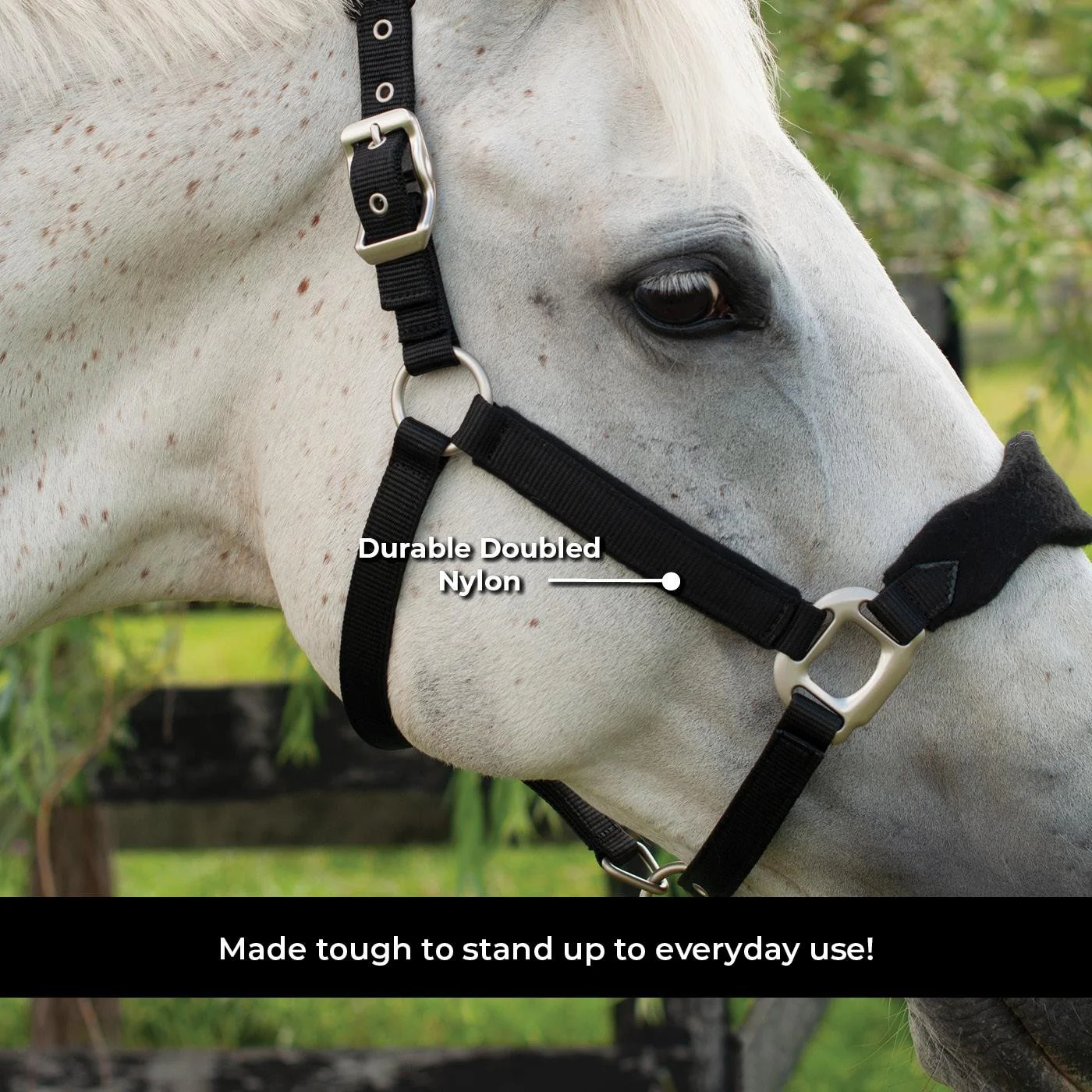 Shedrow Breakaway Halter W/ Fleece - Image 7