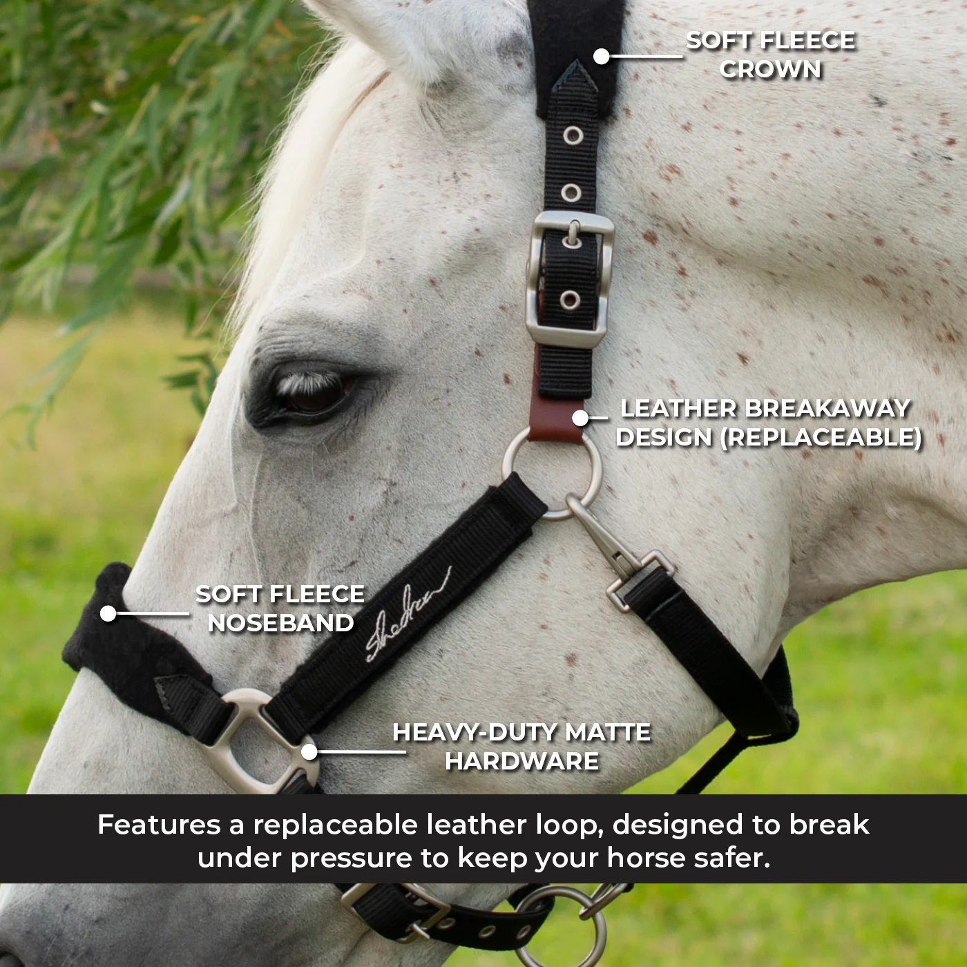 Shedrow Breakaway Halter W/ Fleece - Image 9