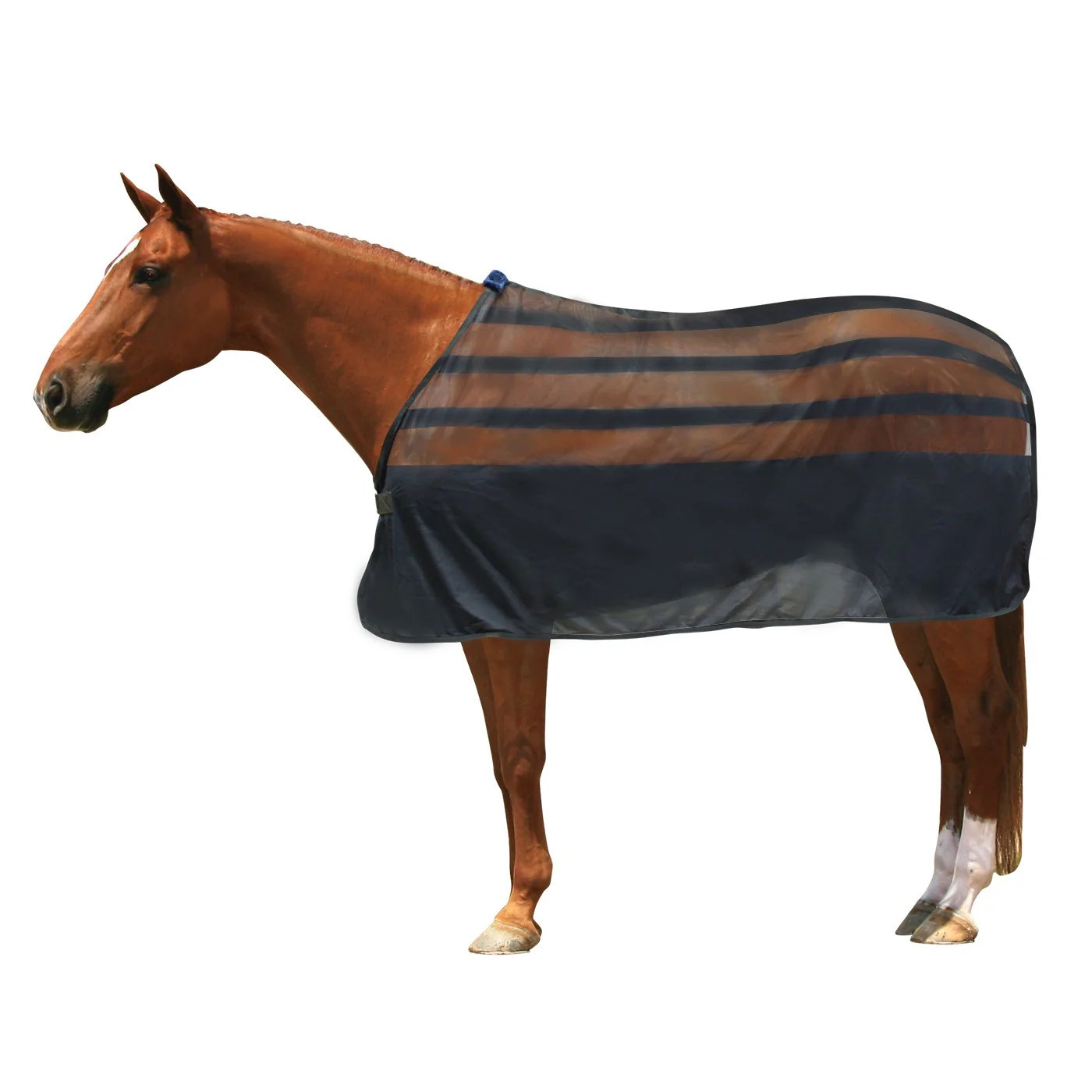 Shedrow Breeze Scrim Sheet - Image 3