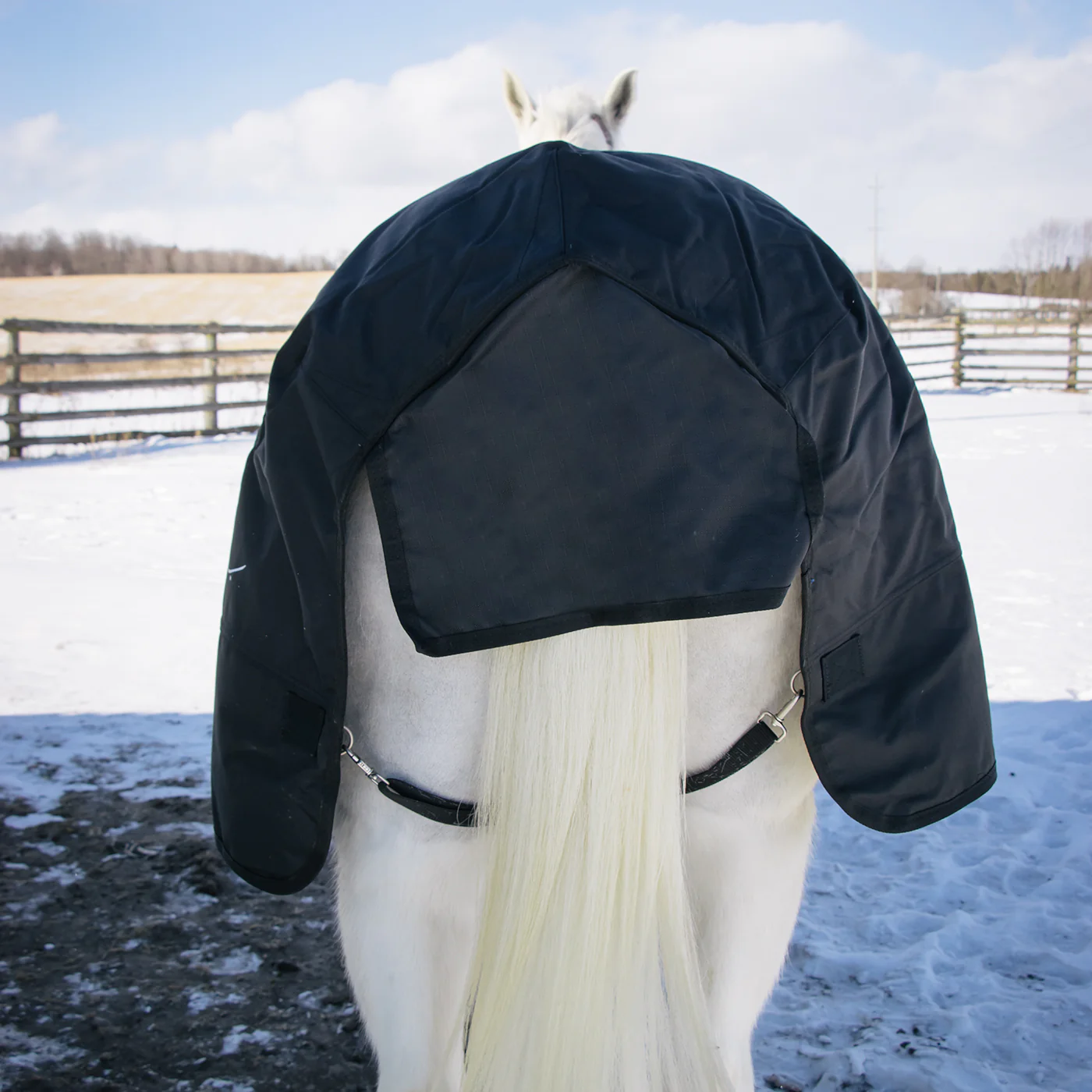 Shedrow Comfort Neck Turnout Blanket 300 g - Image 3