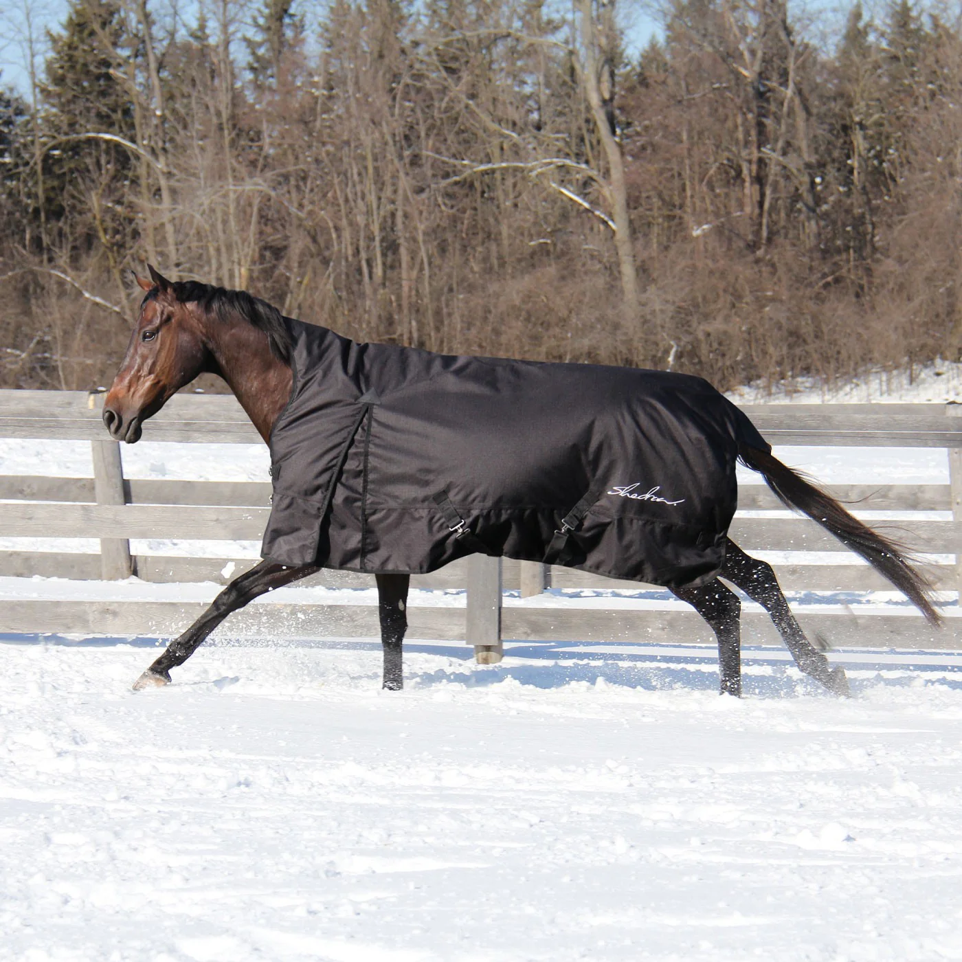 Shedrow Comfort Neck Turnout Blanket 300 g - Image 4