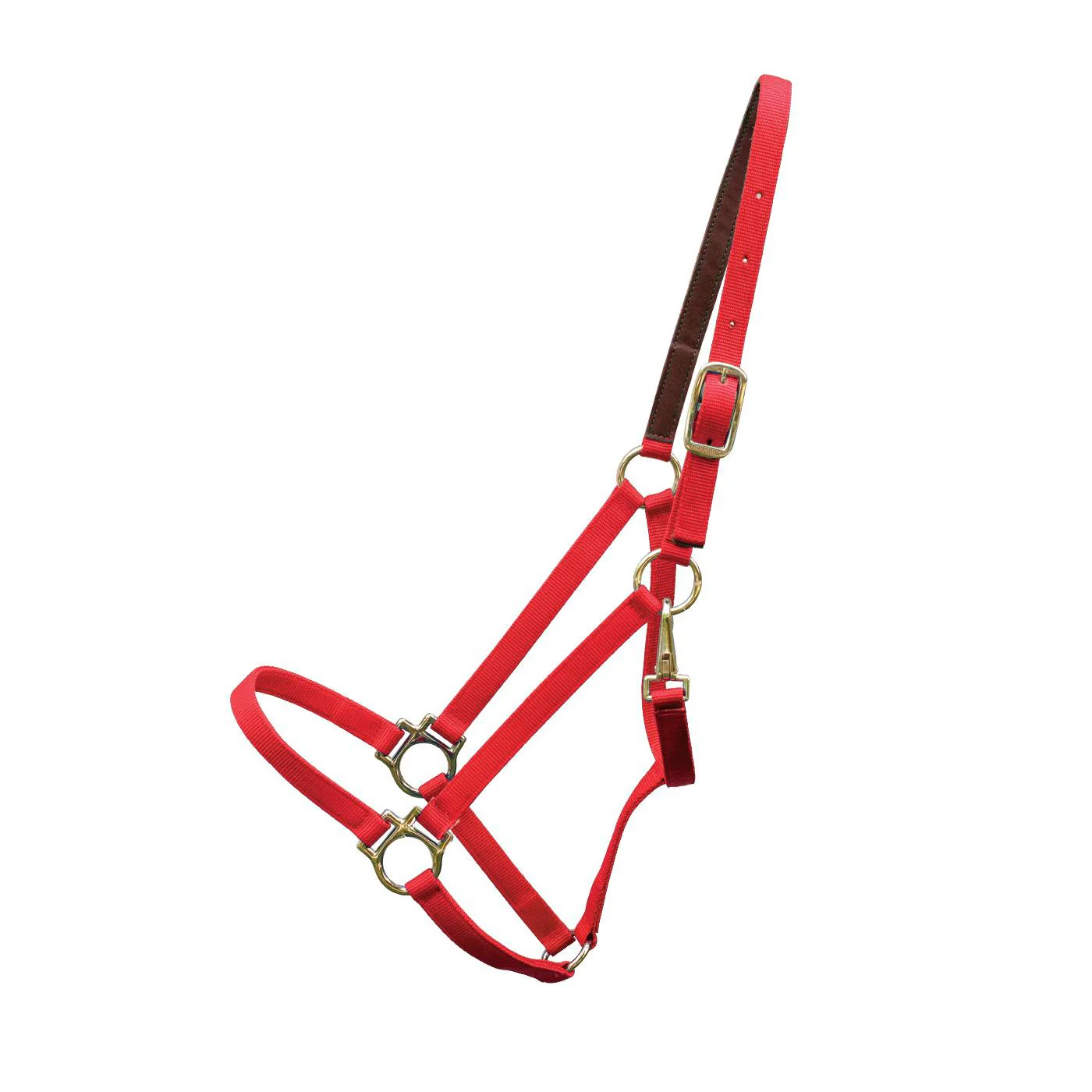 Shedrow Deluxe 3/4 in. Halter - Image 5