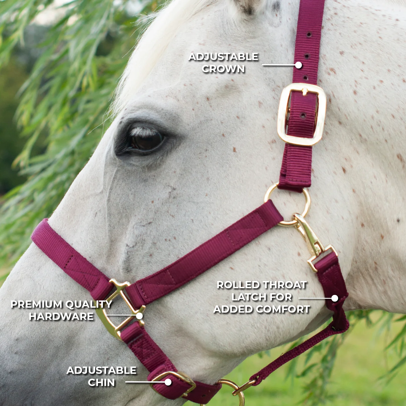 Shedrow Deluxe Halter - Image 10