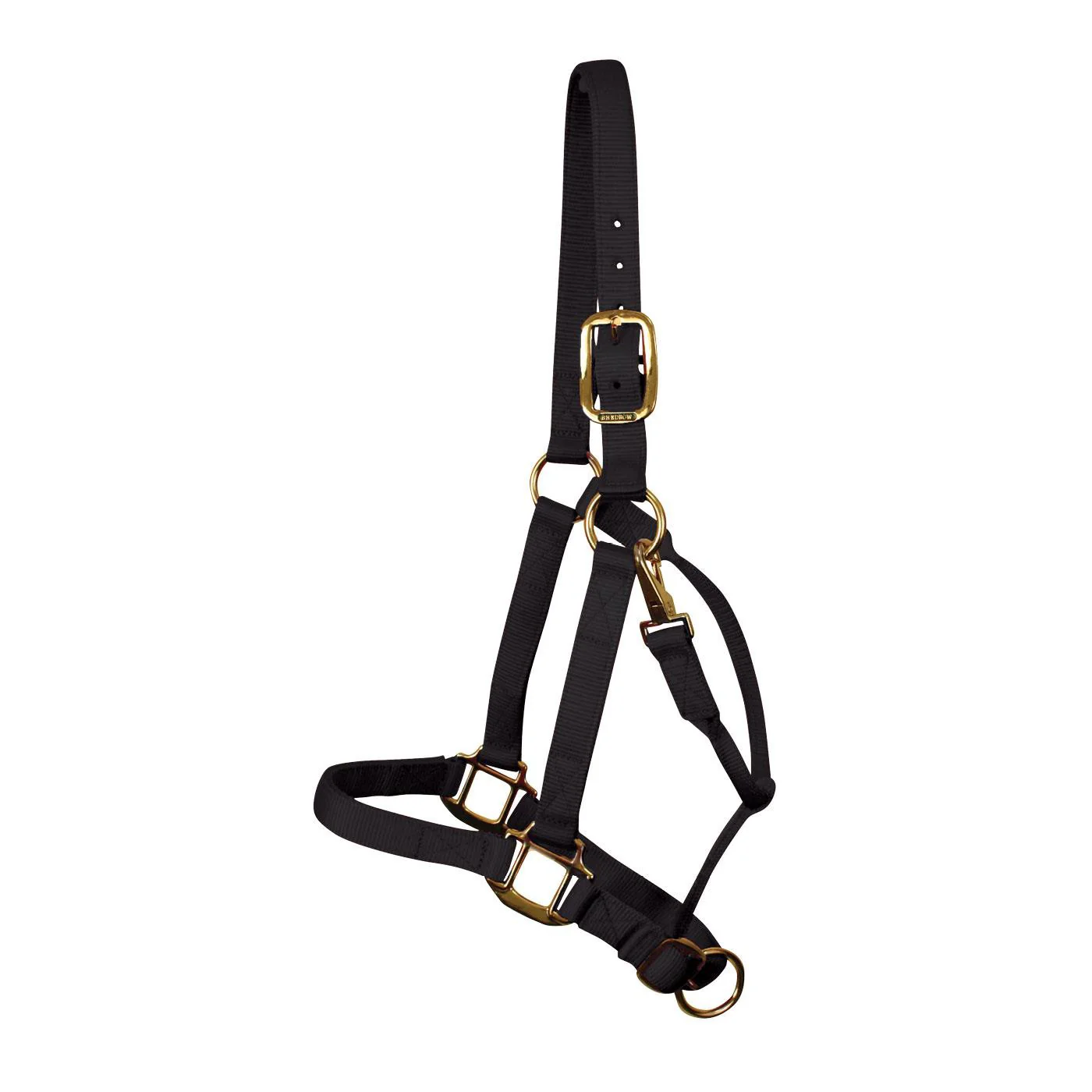 Shedrow Deluxe Halter - Image 13