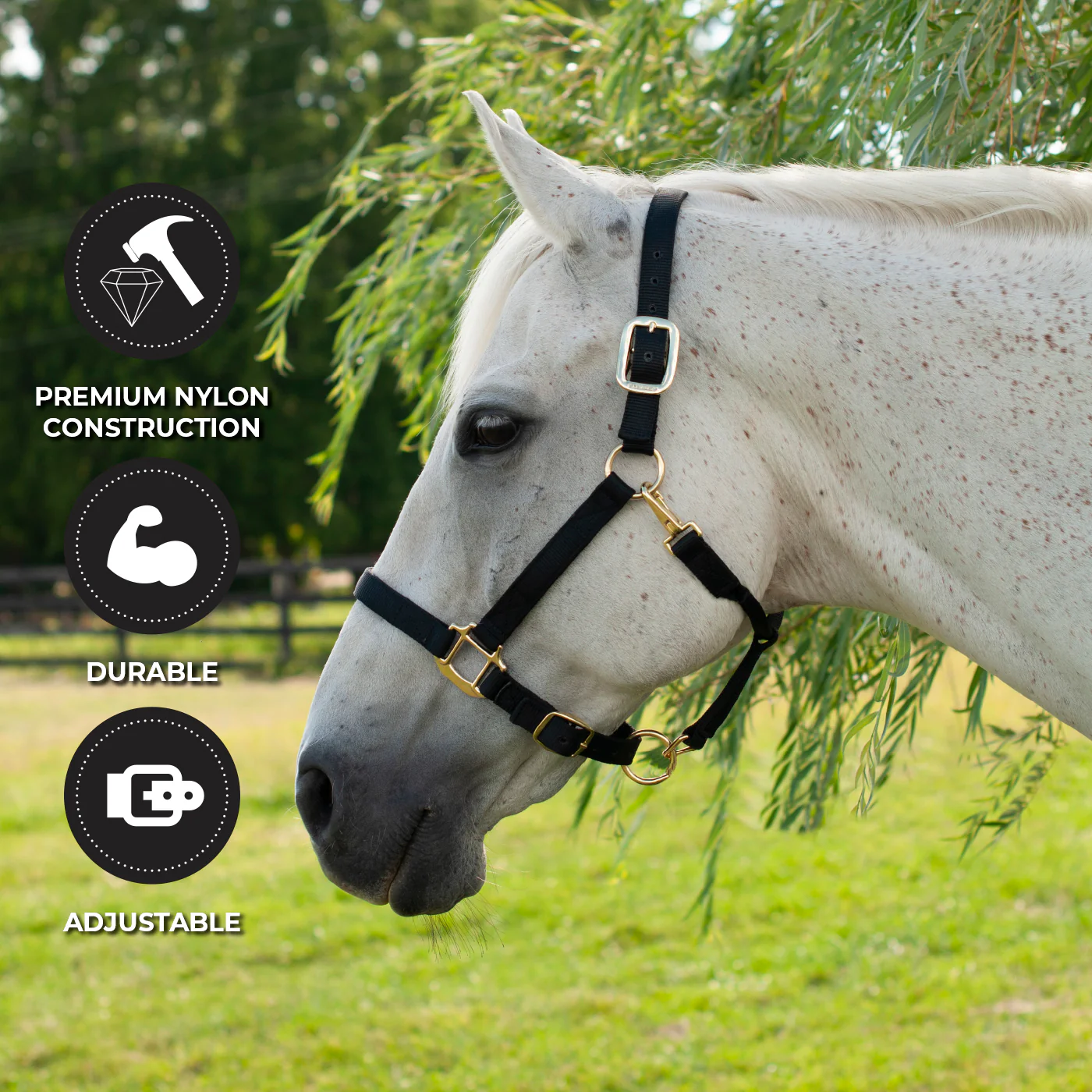 Shedrow Deluxe Halter - Image 14