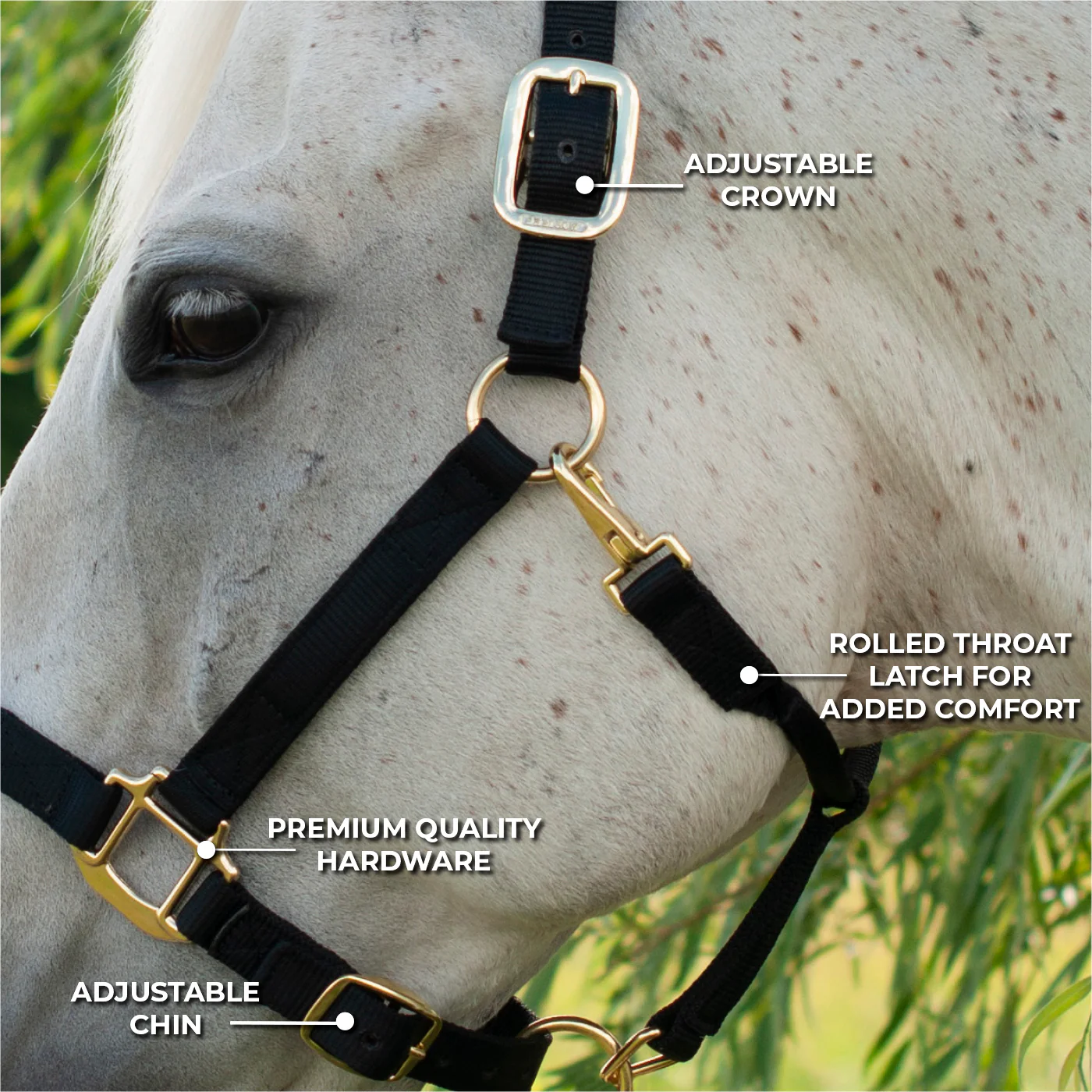 Shedrow Deluxe Halter - Image 15