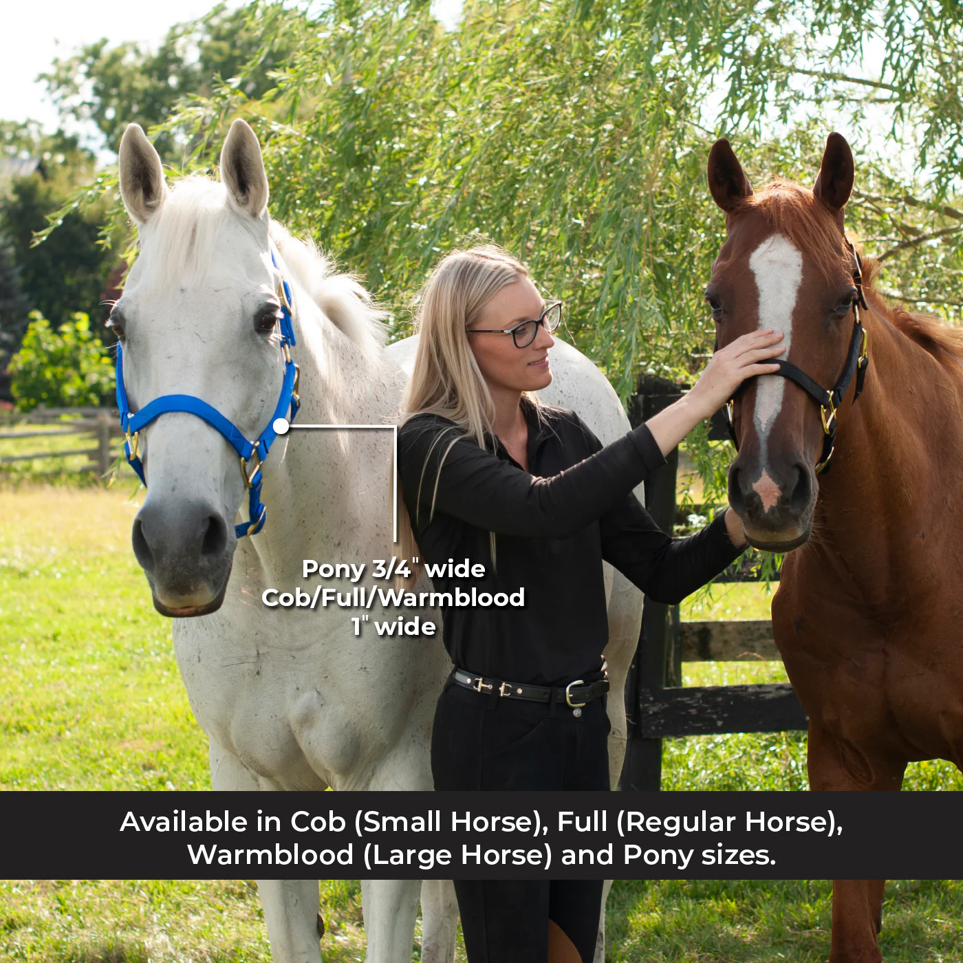Shedrow Deluxe Halter - Image 16