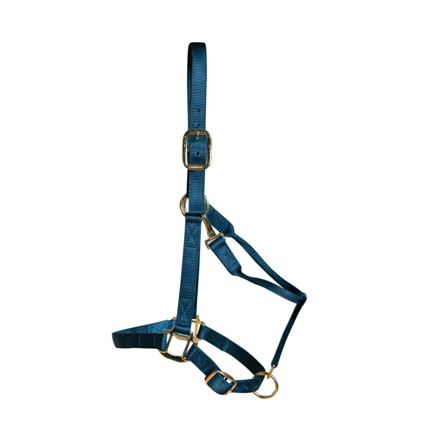 Shedrow Deluxe Halter - Image 19
