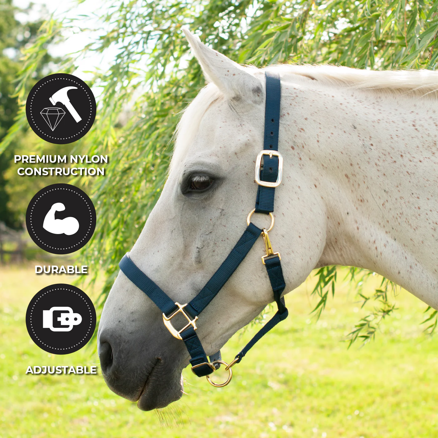 Shedrow Deluxe Halter - Image 20