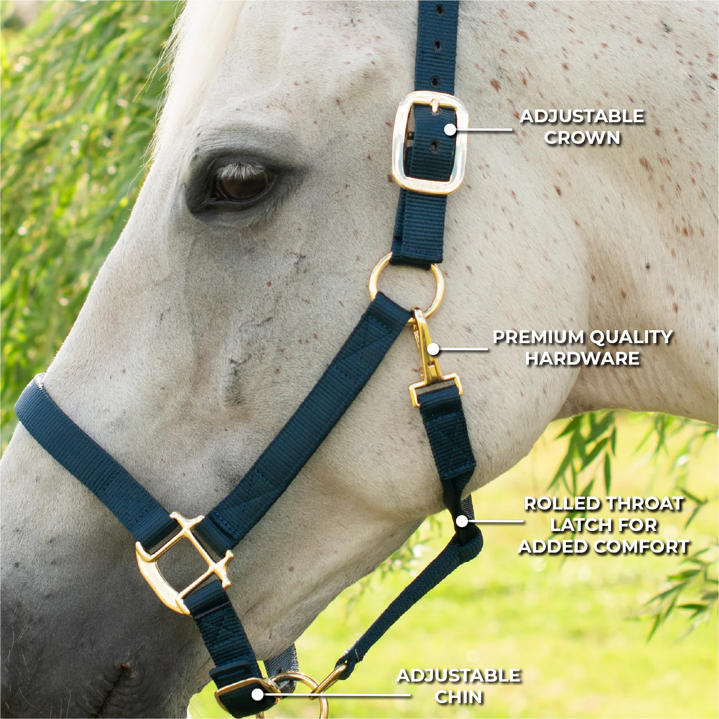 Shedrow Deluxe Halter - Image 22