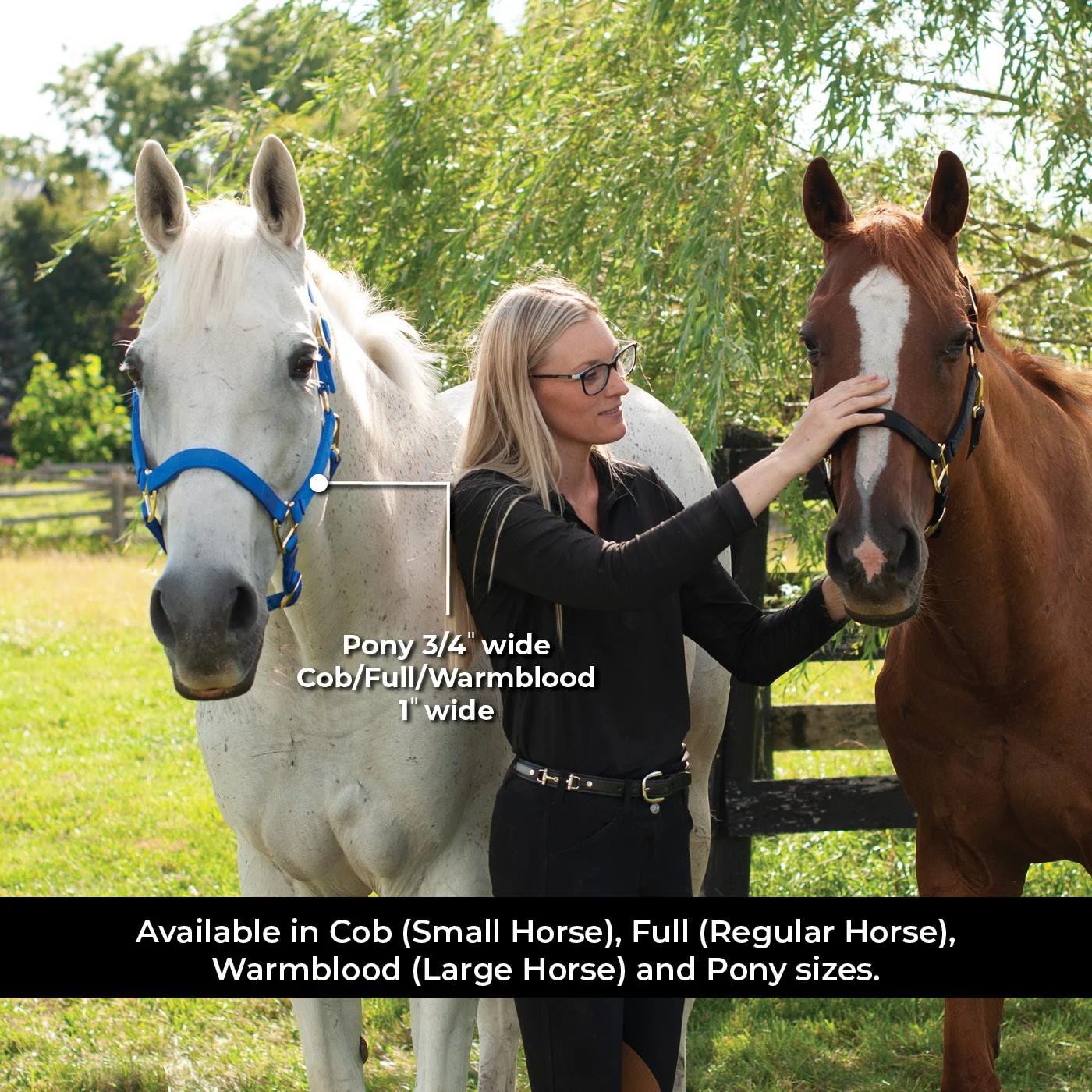 Shedrow Deluxe Halter - Image 25