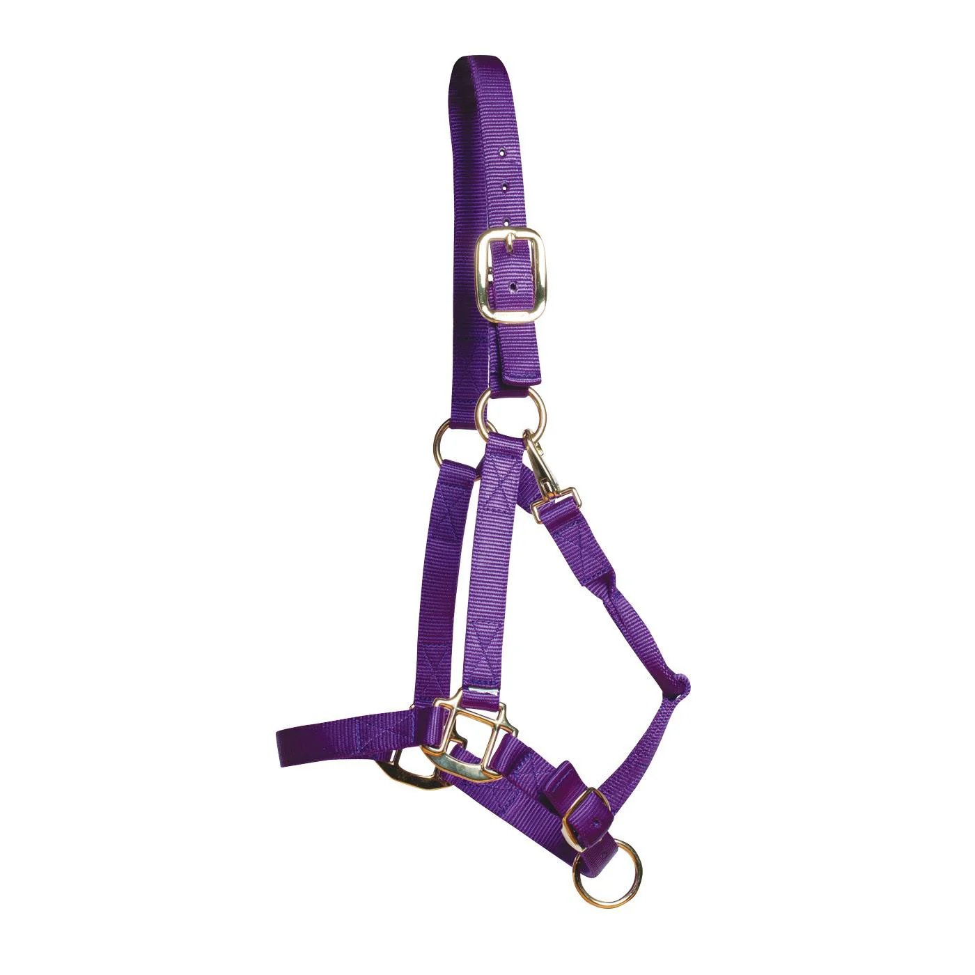 Shedrow Deluxe Halter - Image 26