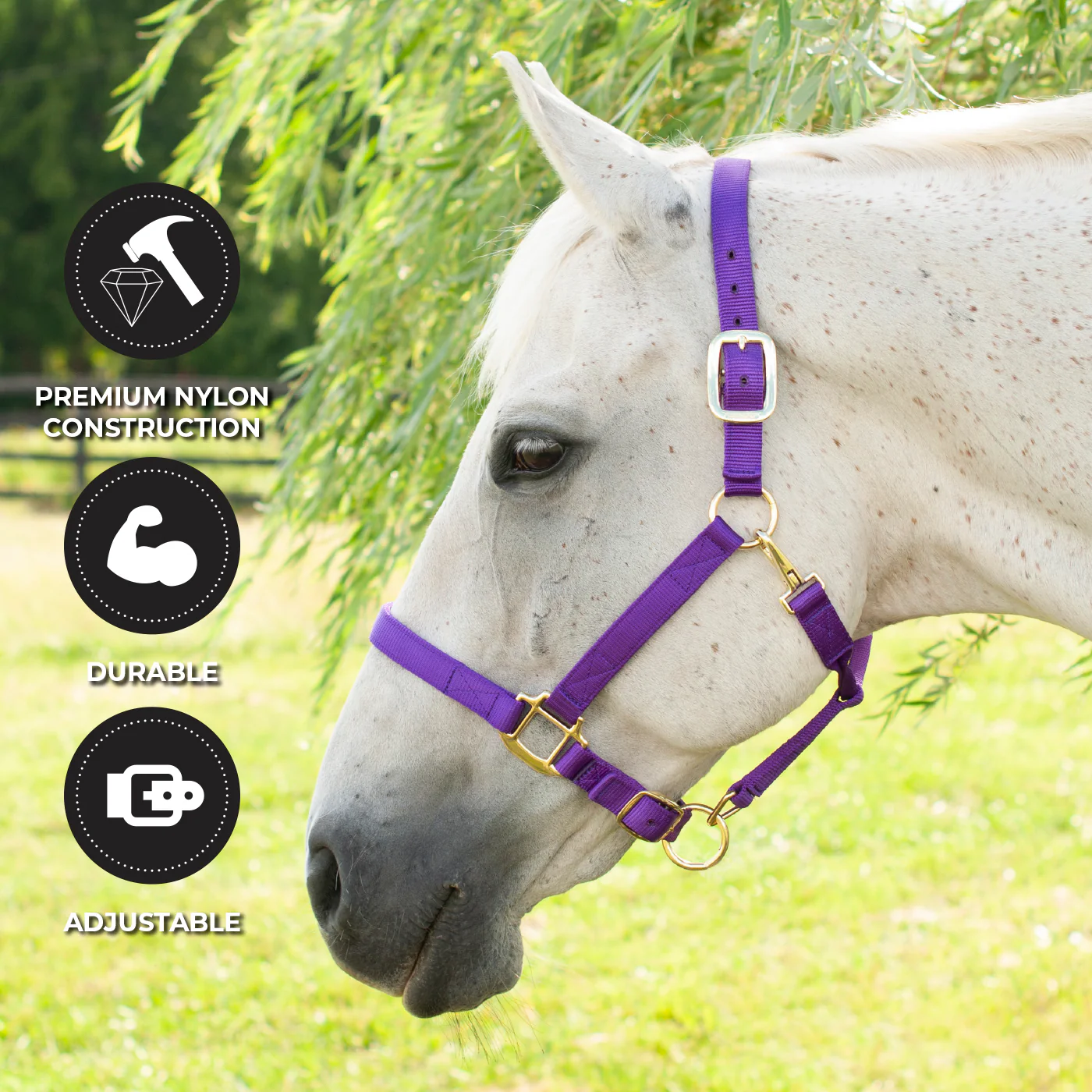 Shedrow Deluxe Halter - Image 27
