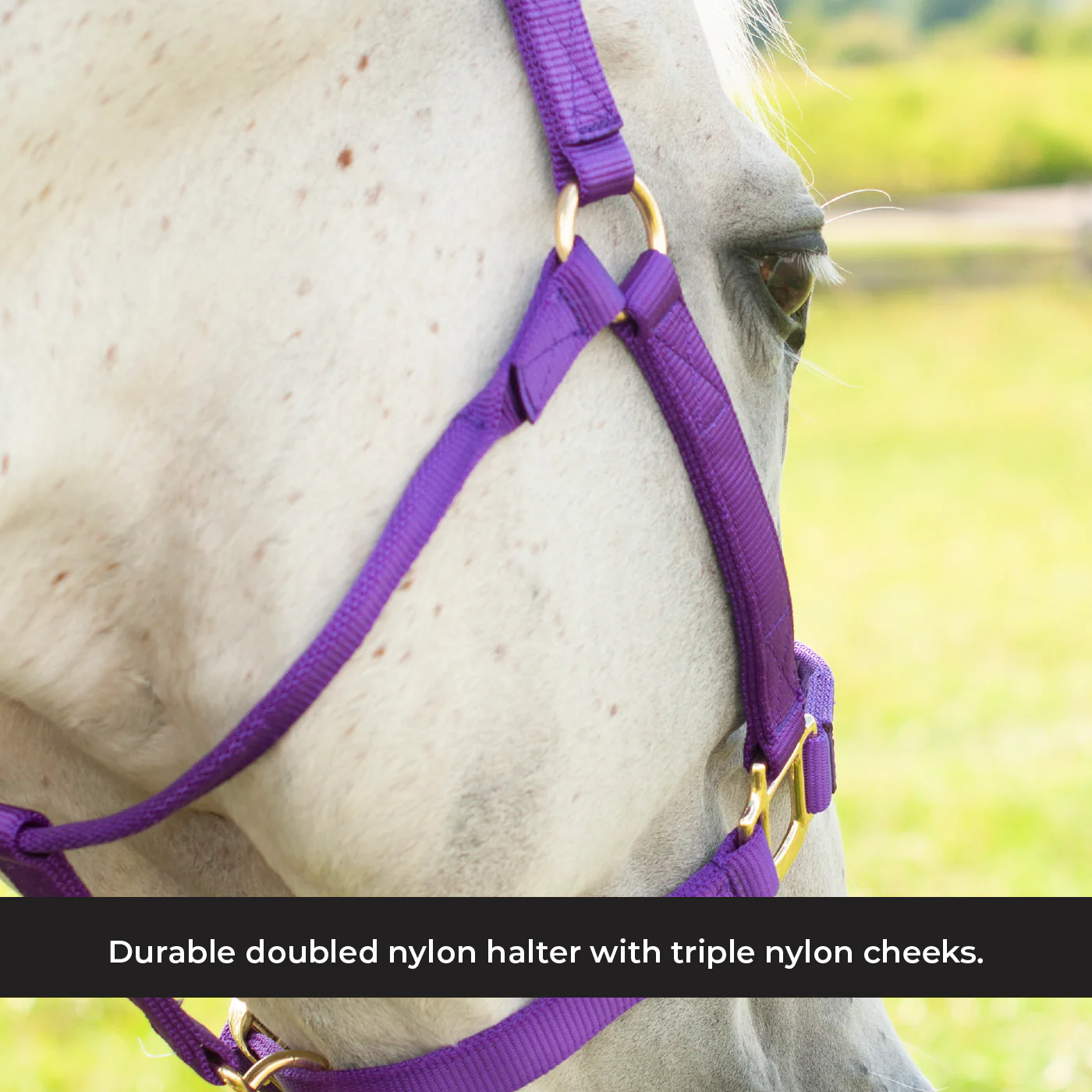 Shedrow Deluxe Halter - Image 28