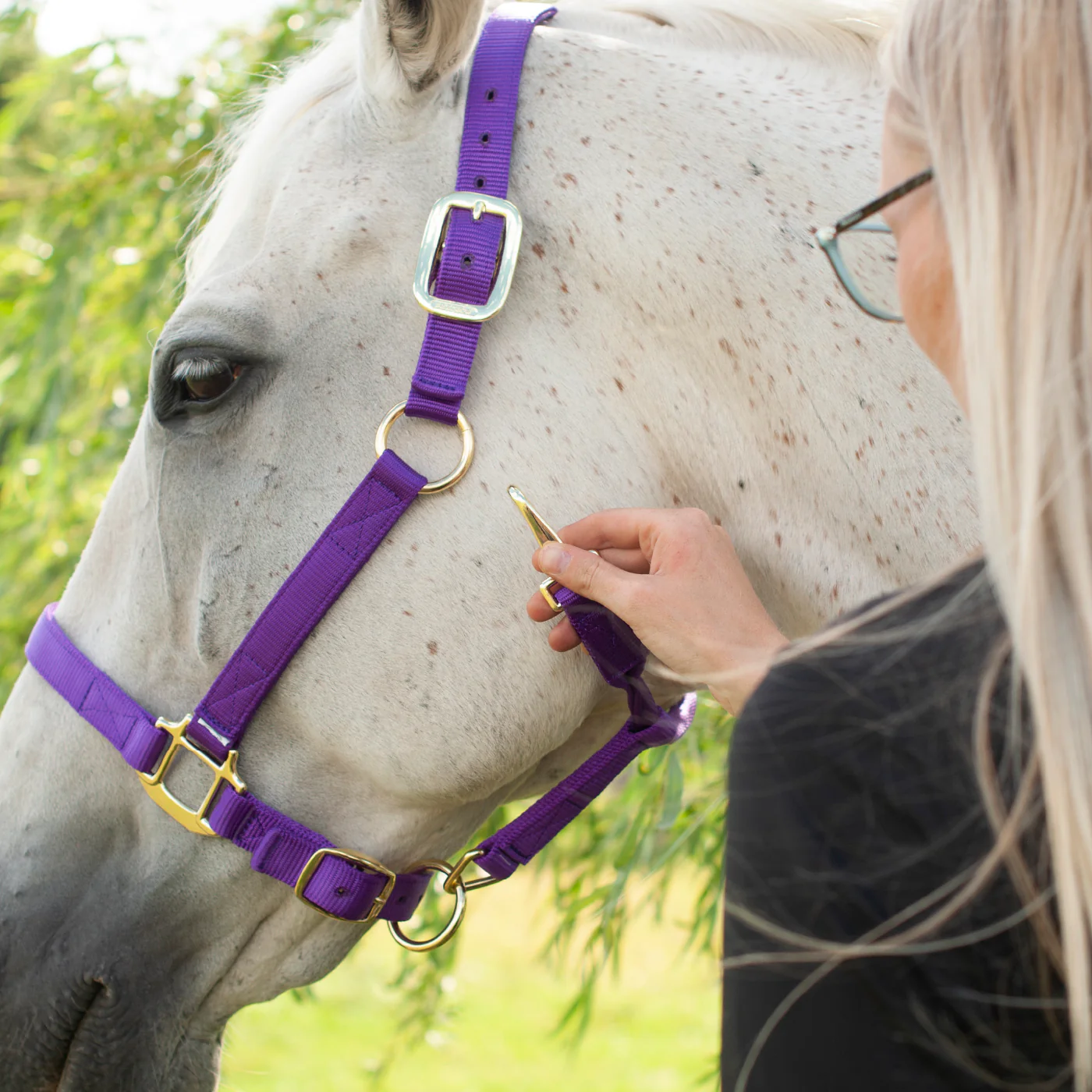 Shedrow Deluxe Halter - Image 31