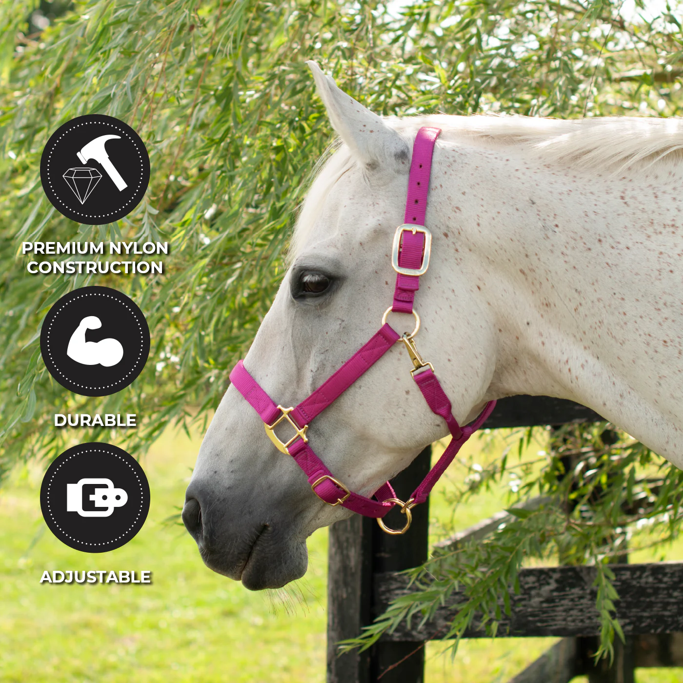 Shedrow Deluxe Halter - Image 34