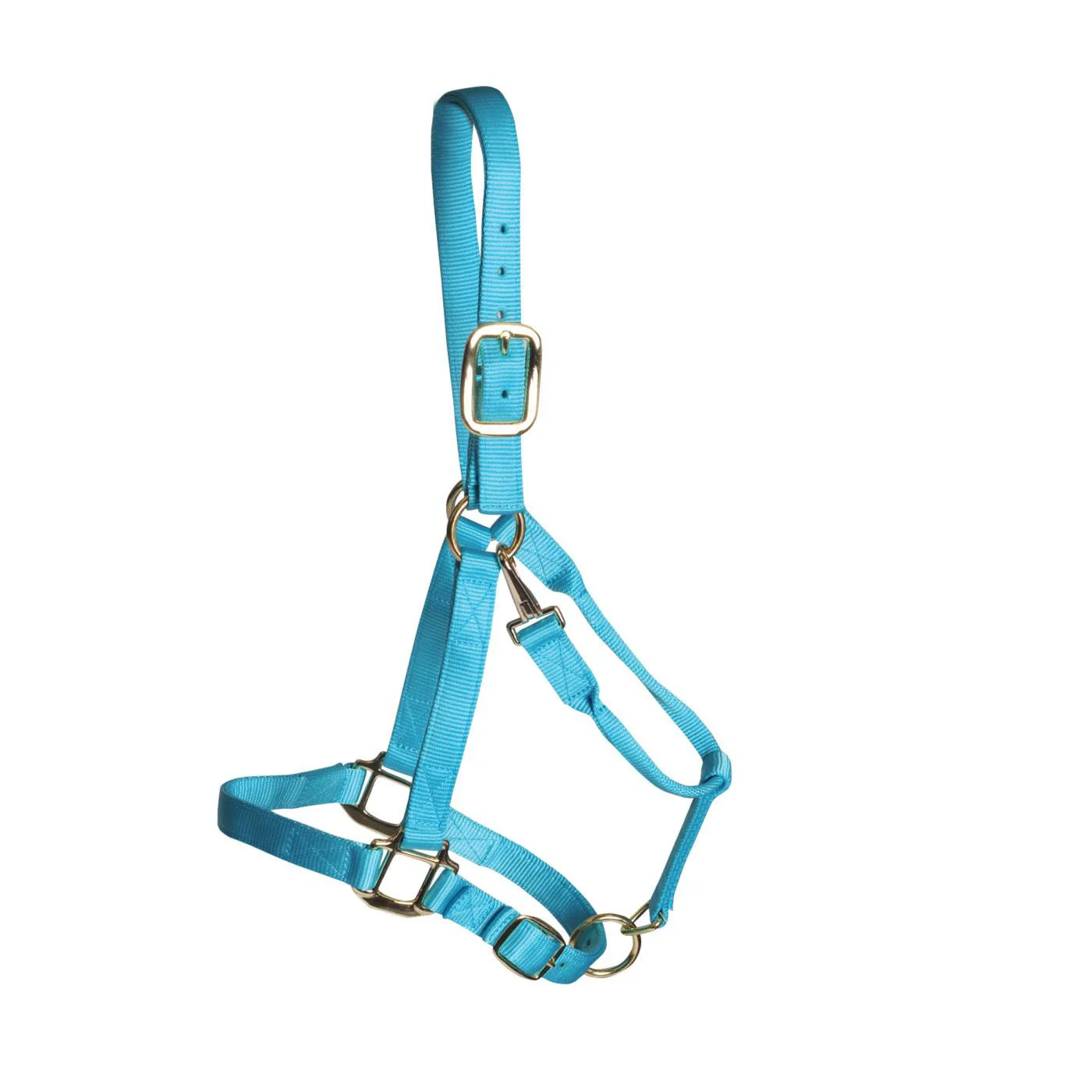 Shedrow Deluxe Halter - Image 44