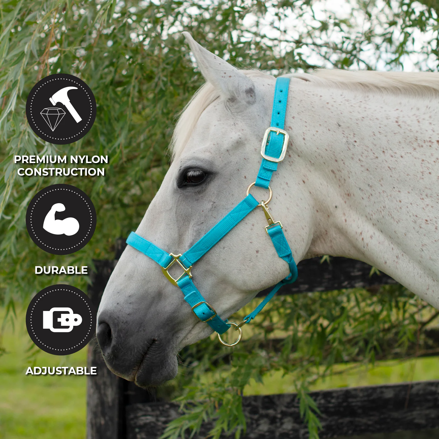 Shedrow Deluxe Halter - Image 45