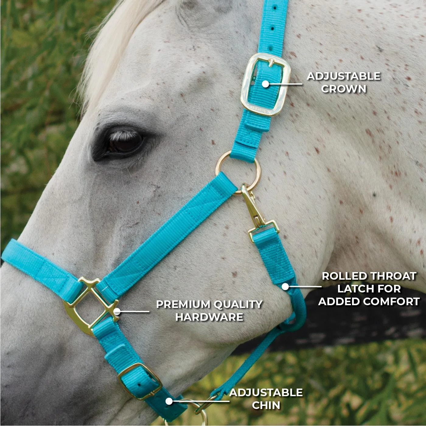 Shedrow Deluxe Halter - Image 47