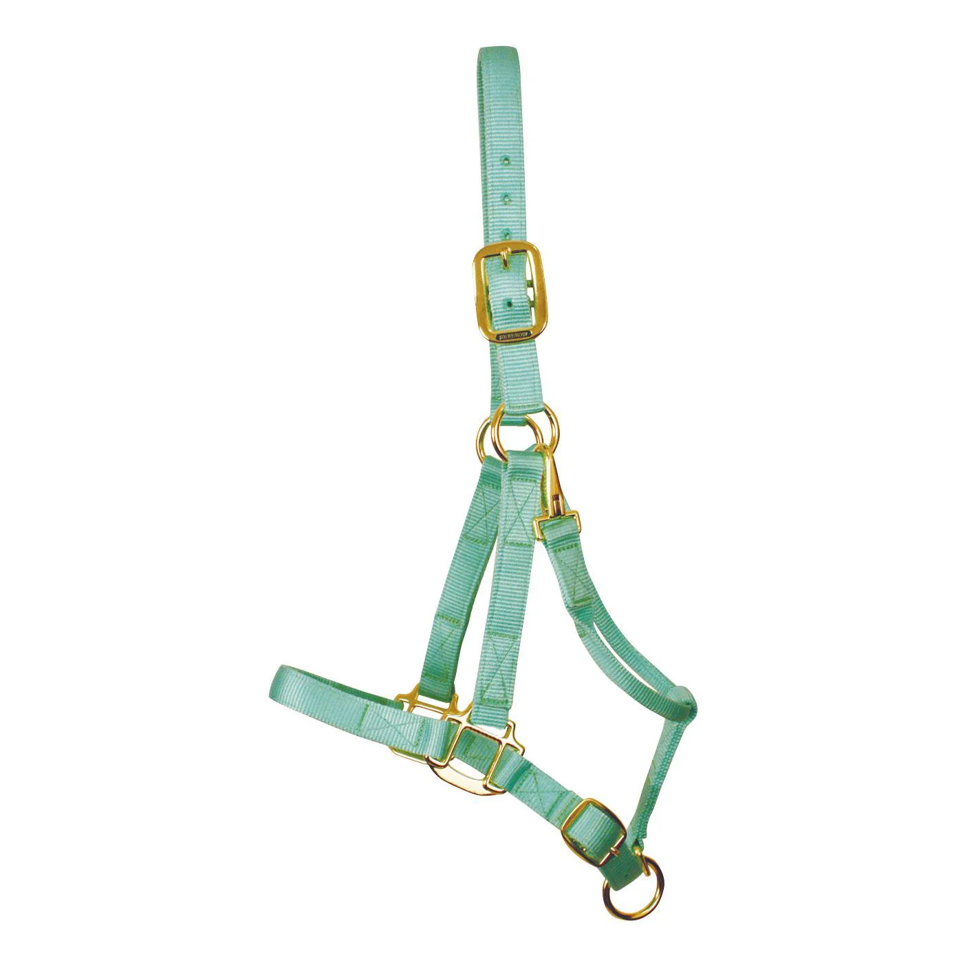 Shedrow Deluxe Halter - Image 50