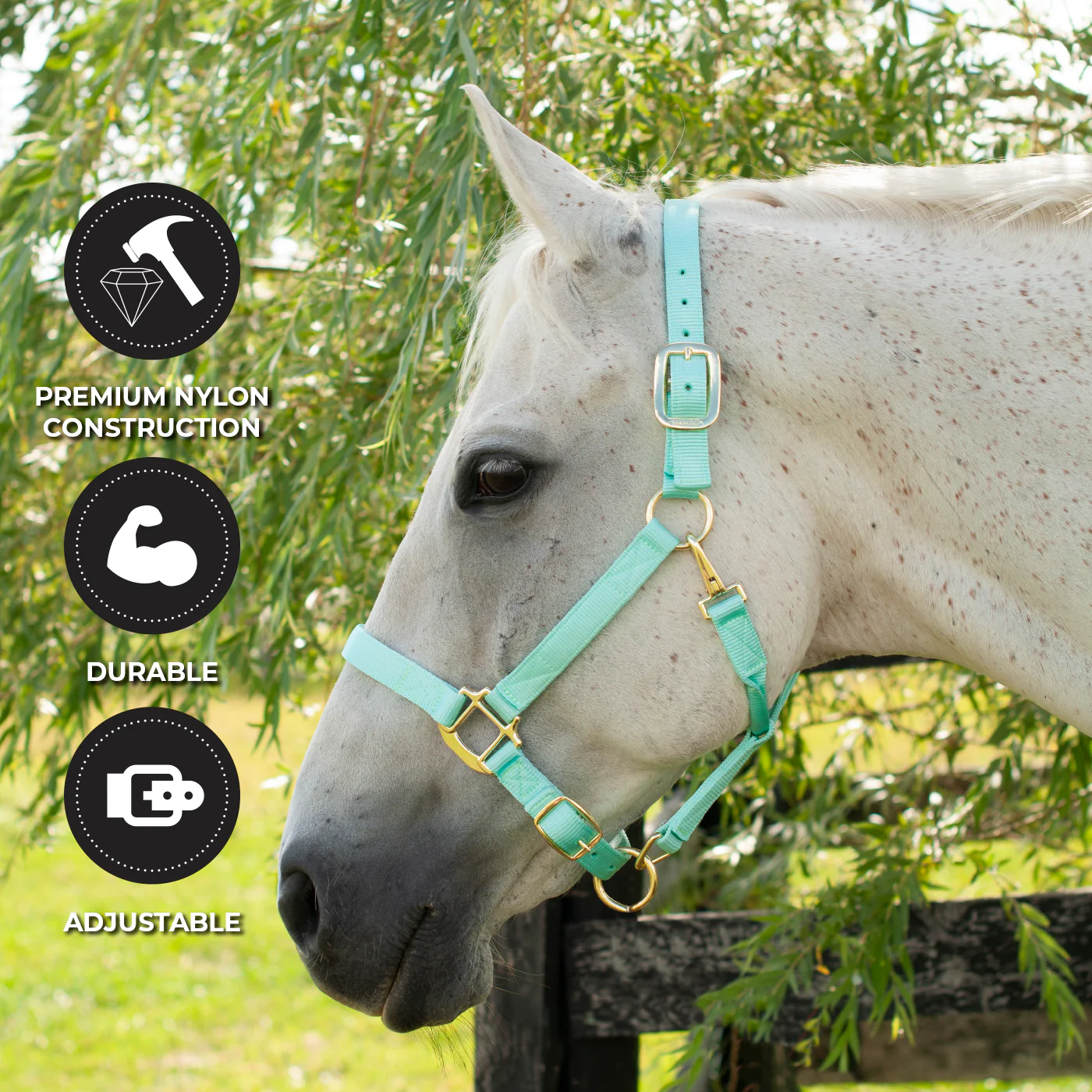 Shedrow Deluxe Halter - Image 51